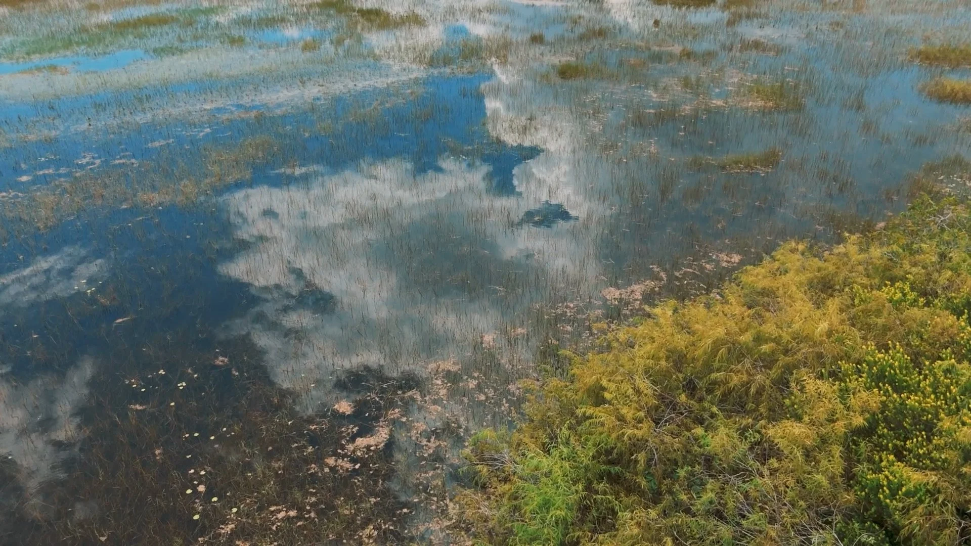 Finding Florida_Ep03_Cinematographer_DP_Hector David Rosales116.jpg