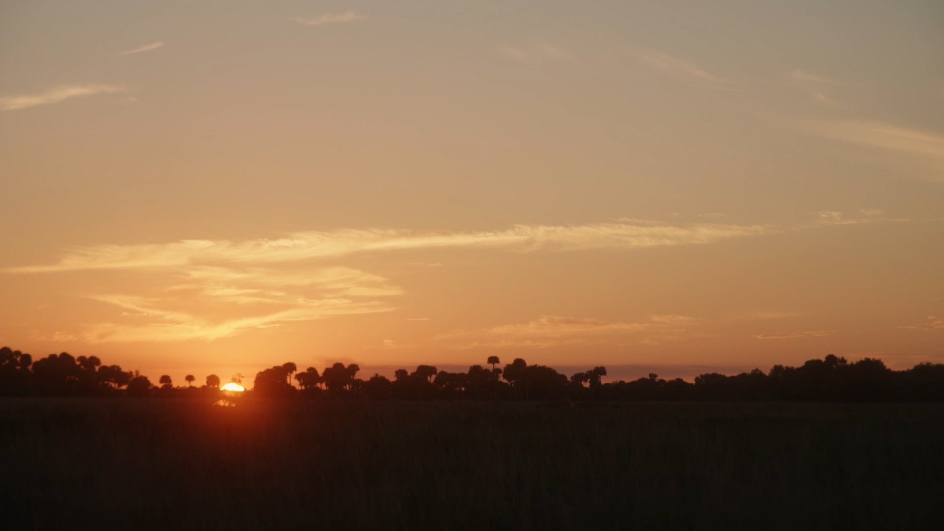Finding Florida_Ep02_Cinematographer_DP_Hector David Rosales120.jpg