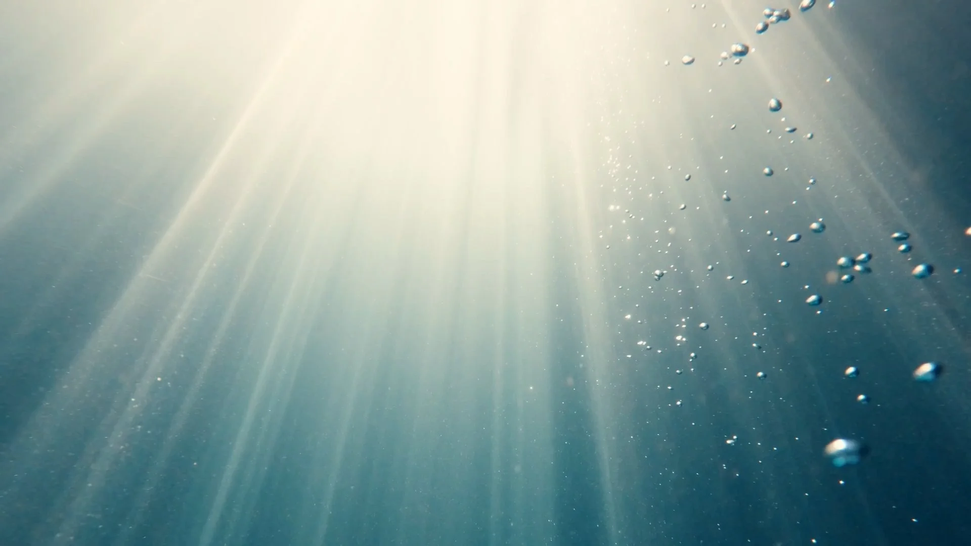 Finding Florida_Ep01_Cinematographer_DP_Hector David Rosales15.jpg