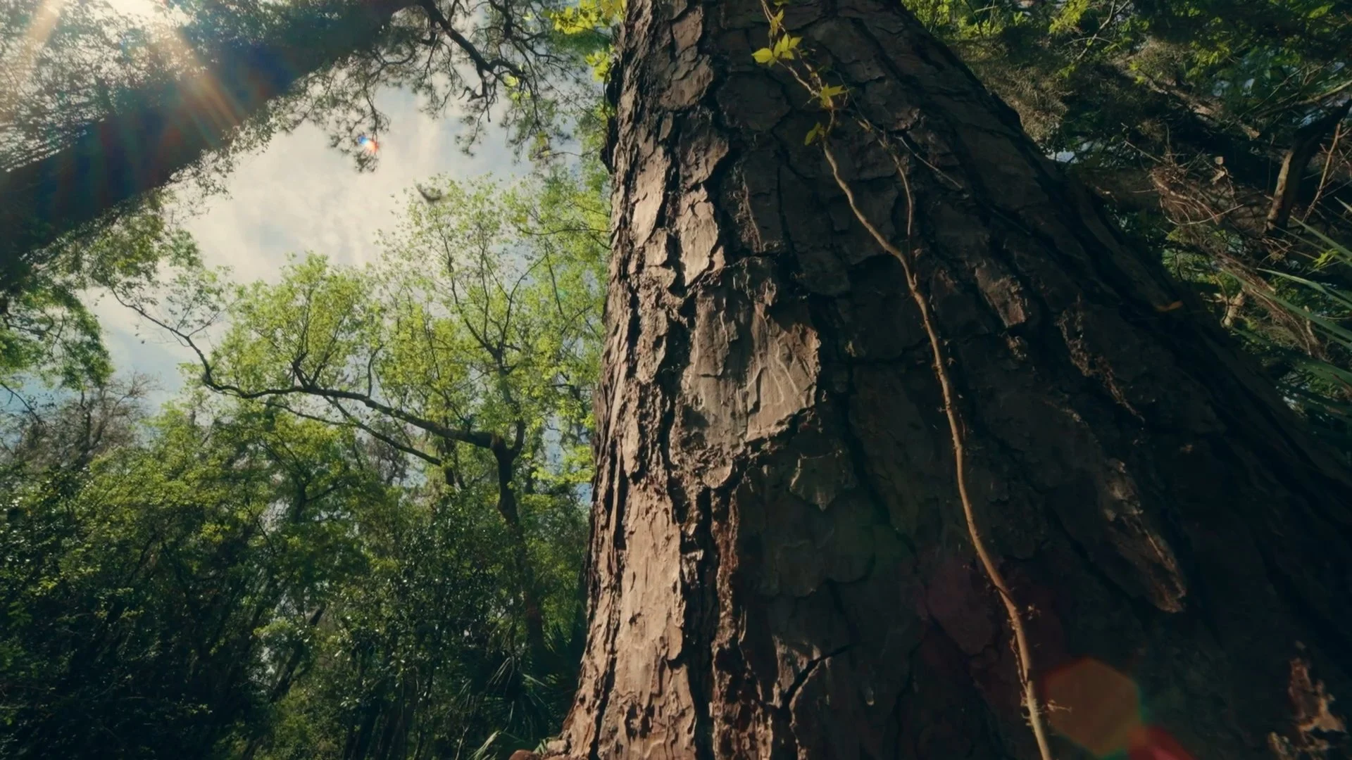 Finding Florida_Ep01_Cinematographer_DP_Hector David Rosales13.jpg