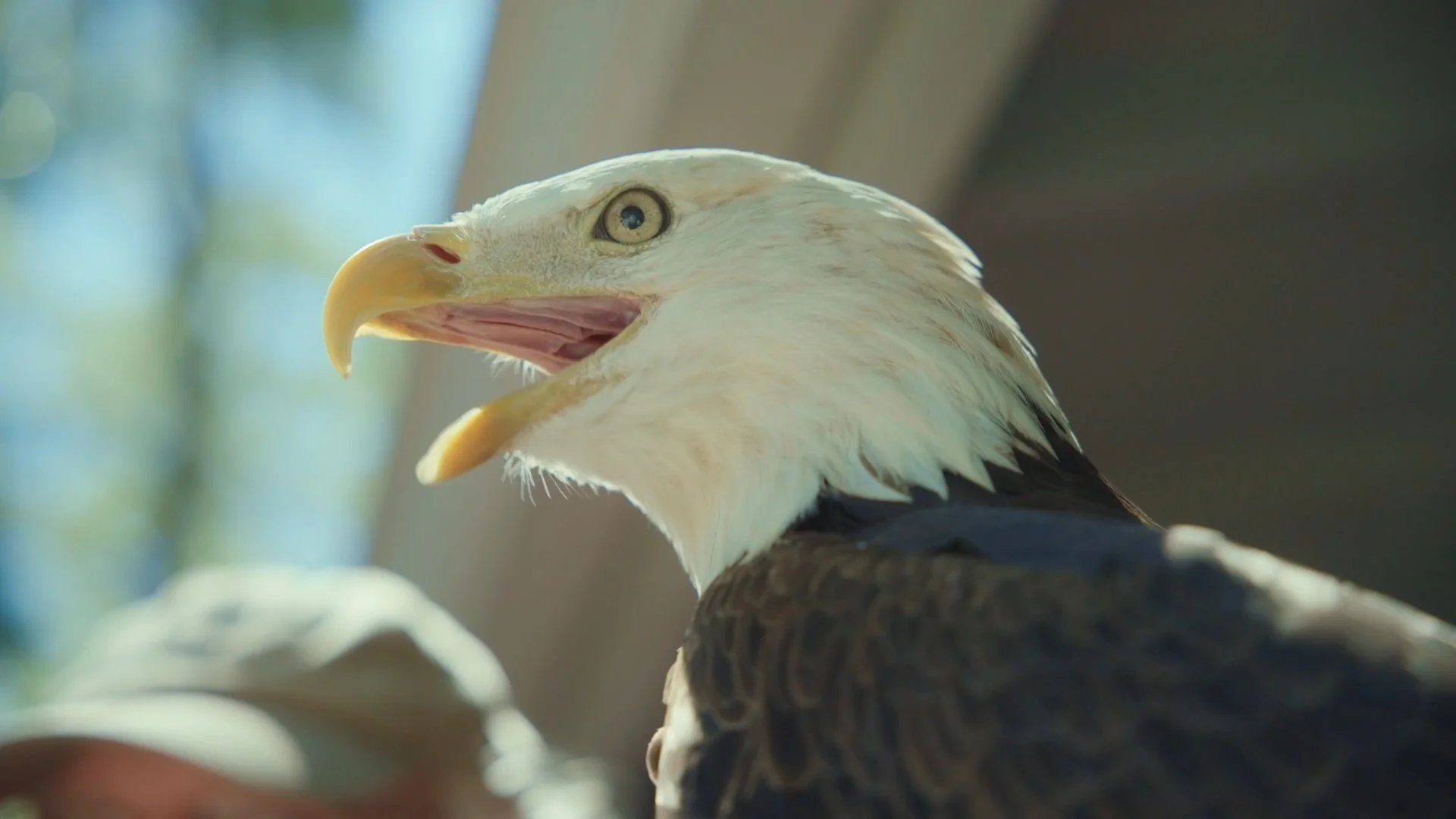 Finding Florida_Ep02_Cinematographer_DP_Hector David Rosales15.jpg