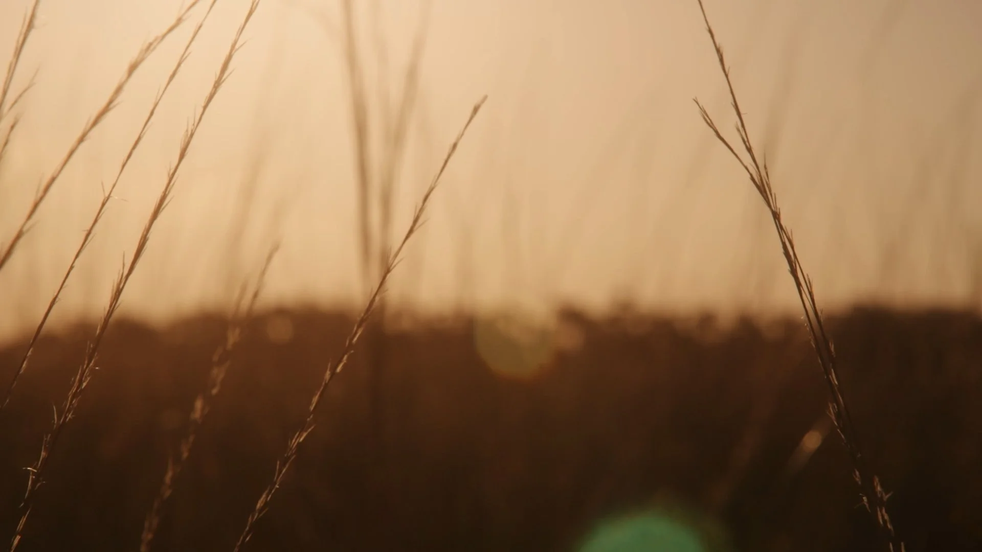 Finding Florida_Ep02_Cinematographer_DP_Hector David Rosales118.jpg