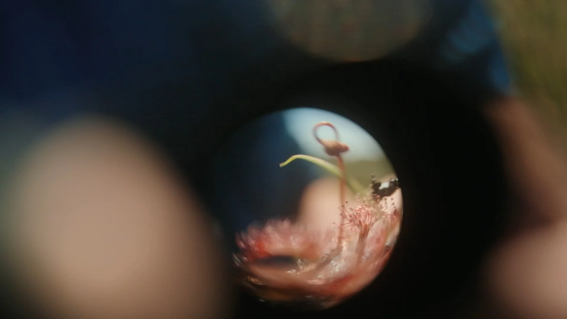 Finding Florida_Ep02_Cinematographer_DP_Hector David Rosales124.jpg