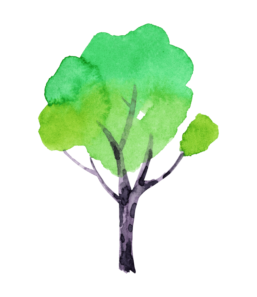 Watercolour illustration of a tree with a green leafy canopy and a slender dark grey trunk, used as a decorative accent