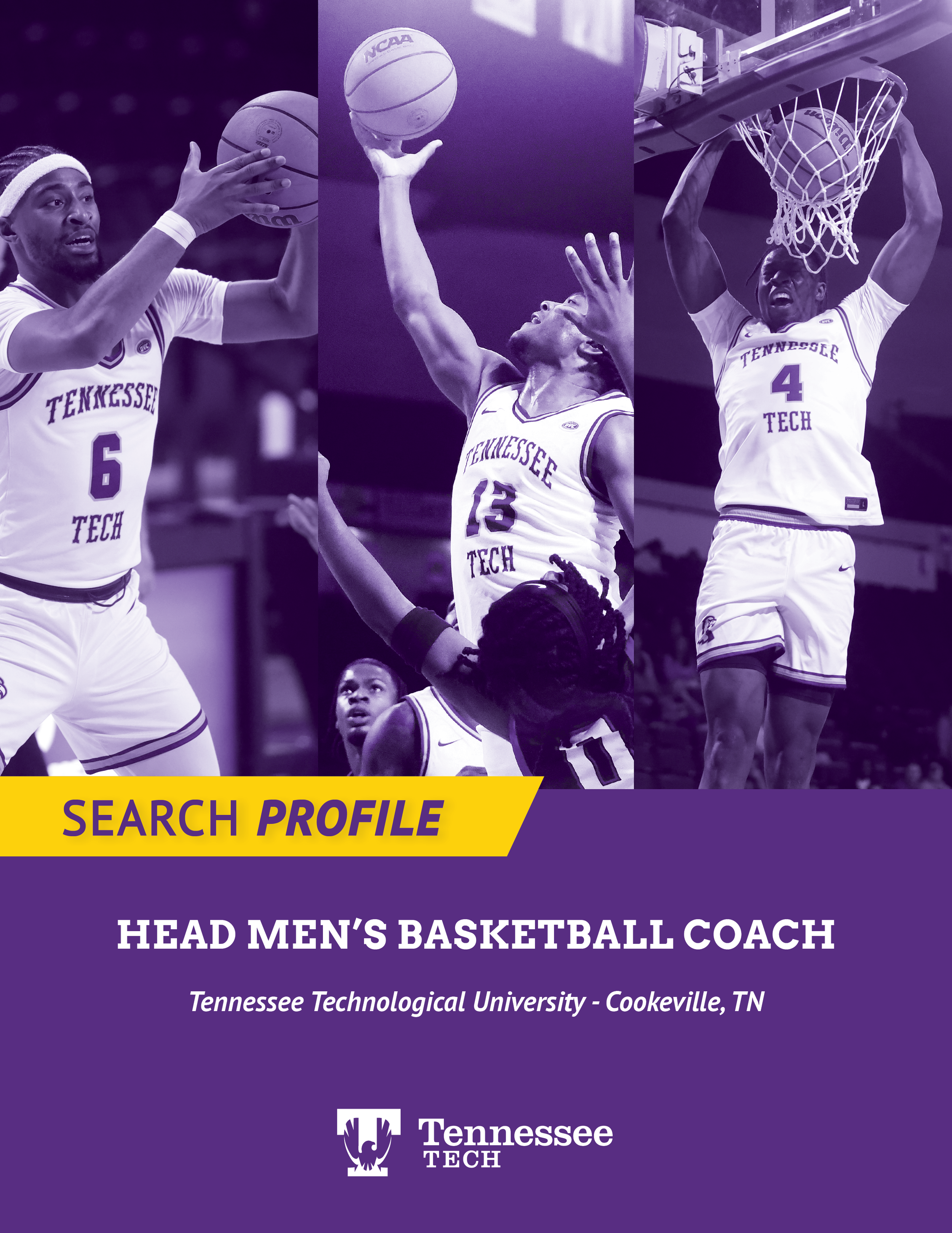 Basketball Search Piece.png