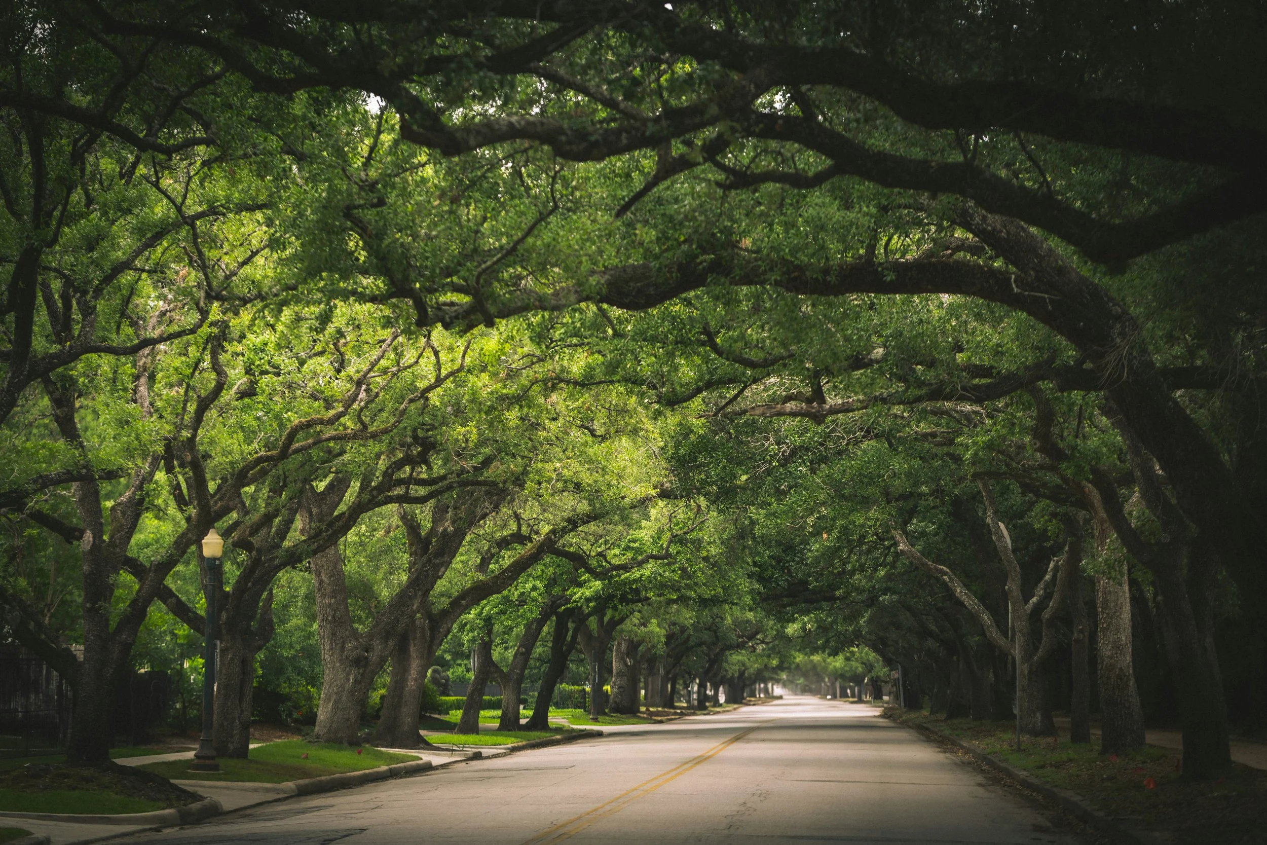 Seasonal estate and horse farm management in Aiken SC