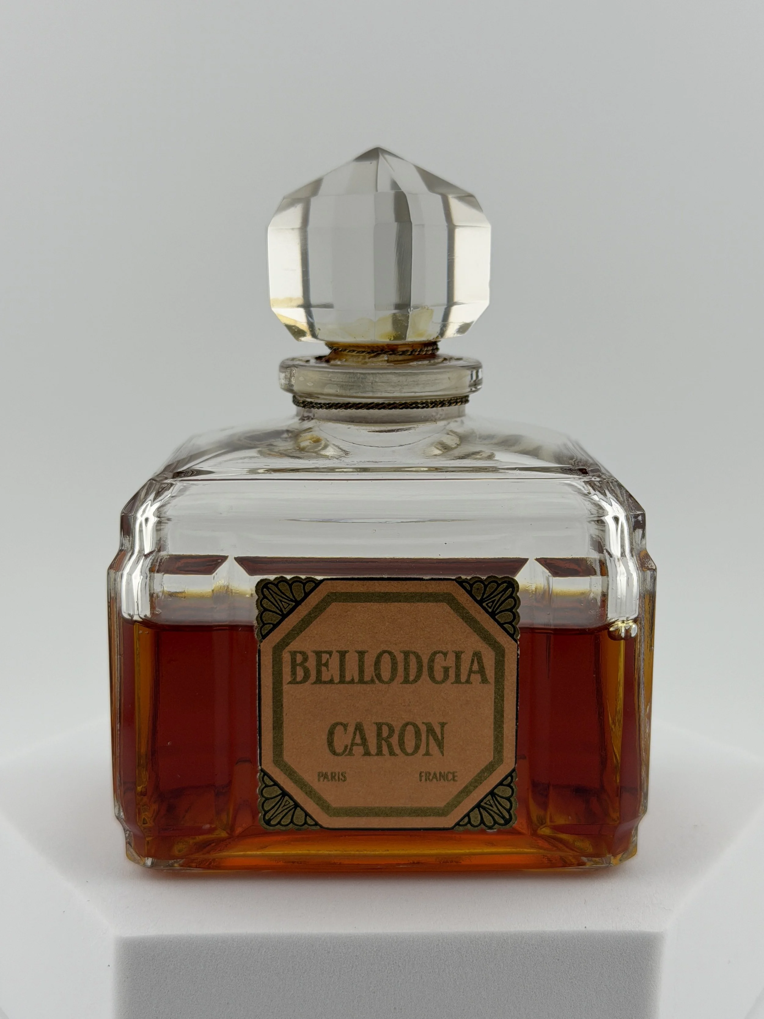 Bellodgia