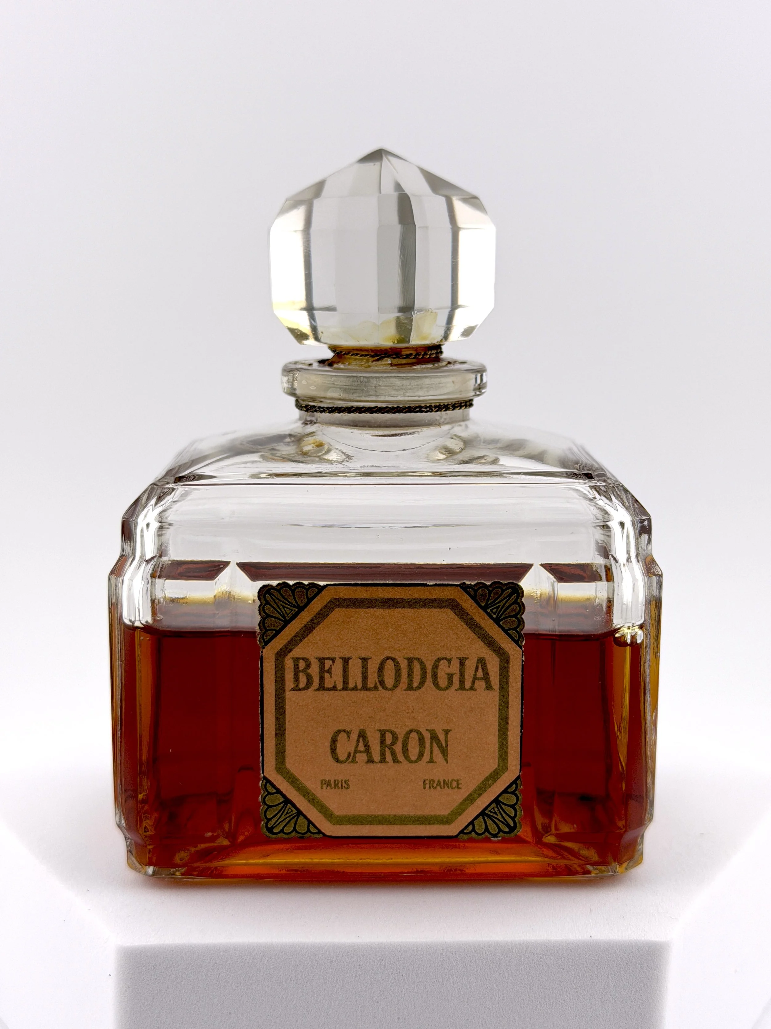 Bellodgia