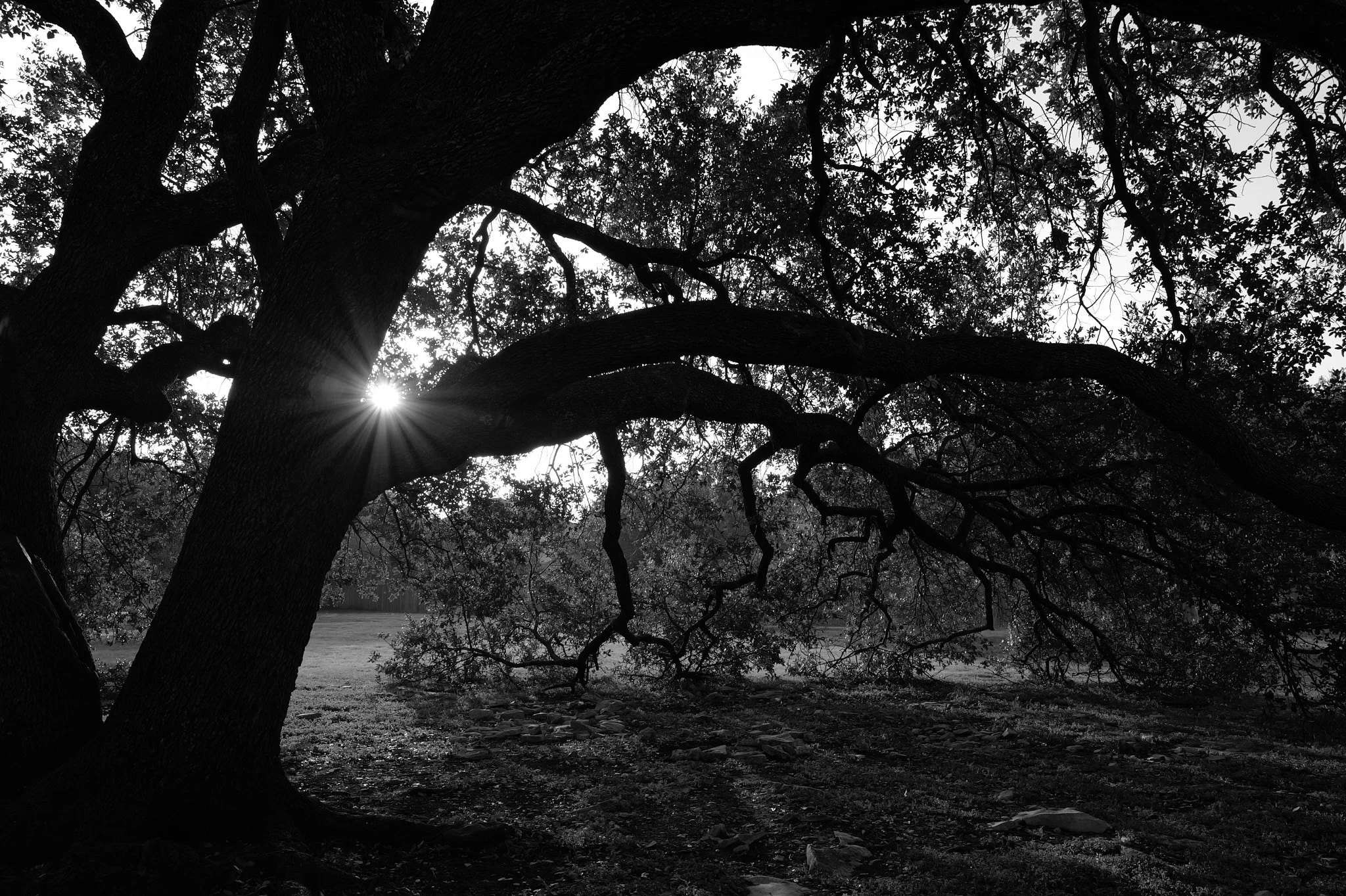 L1000384.jpg