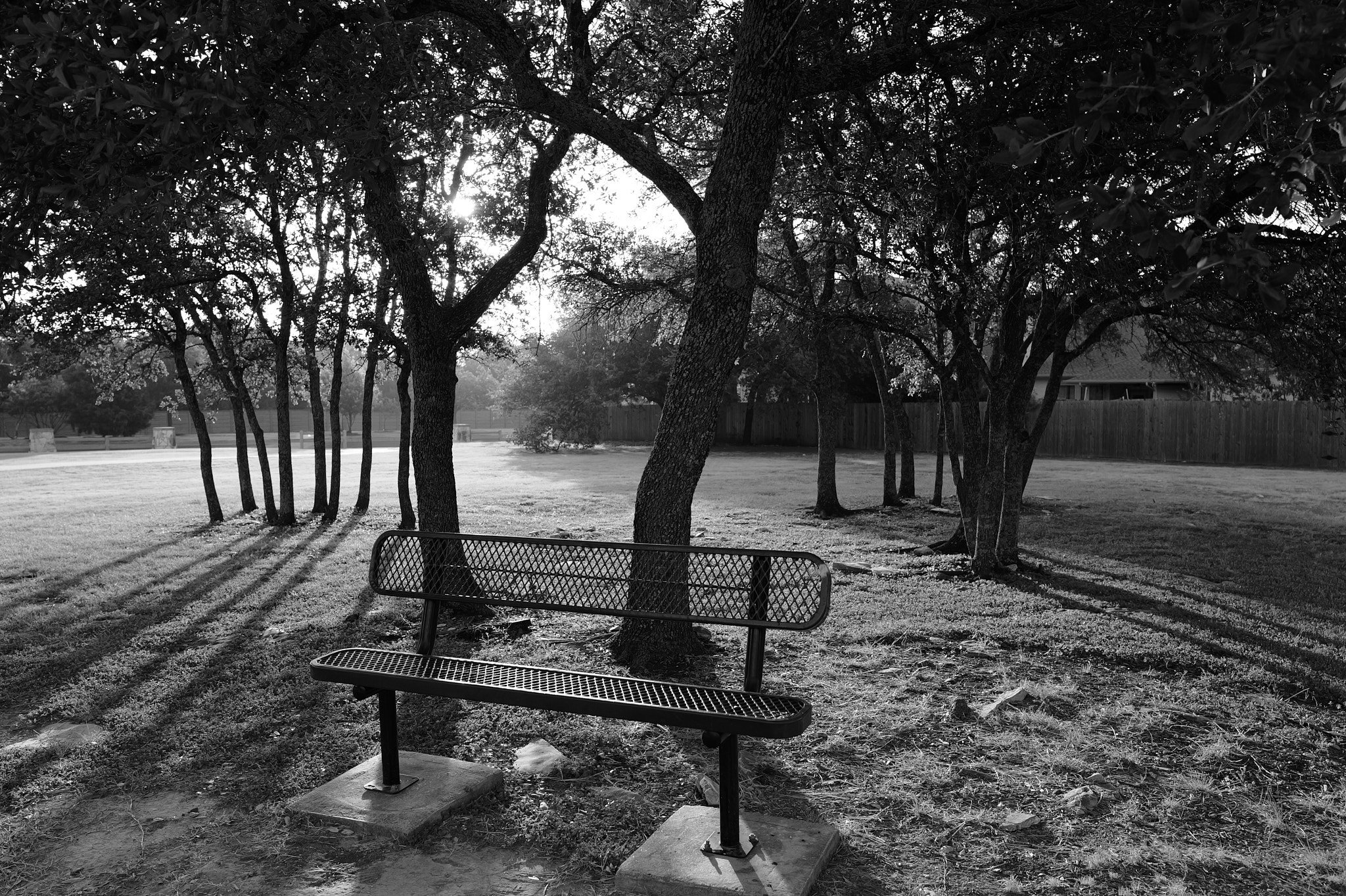 L1000406.jpg
