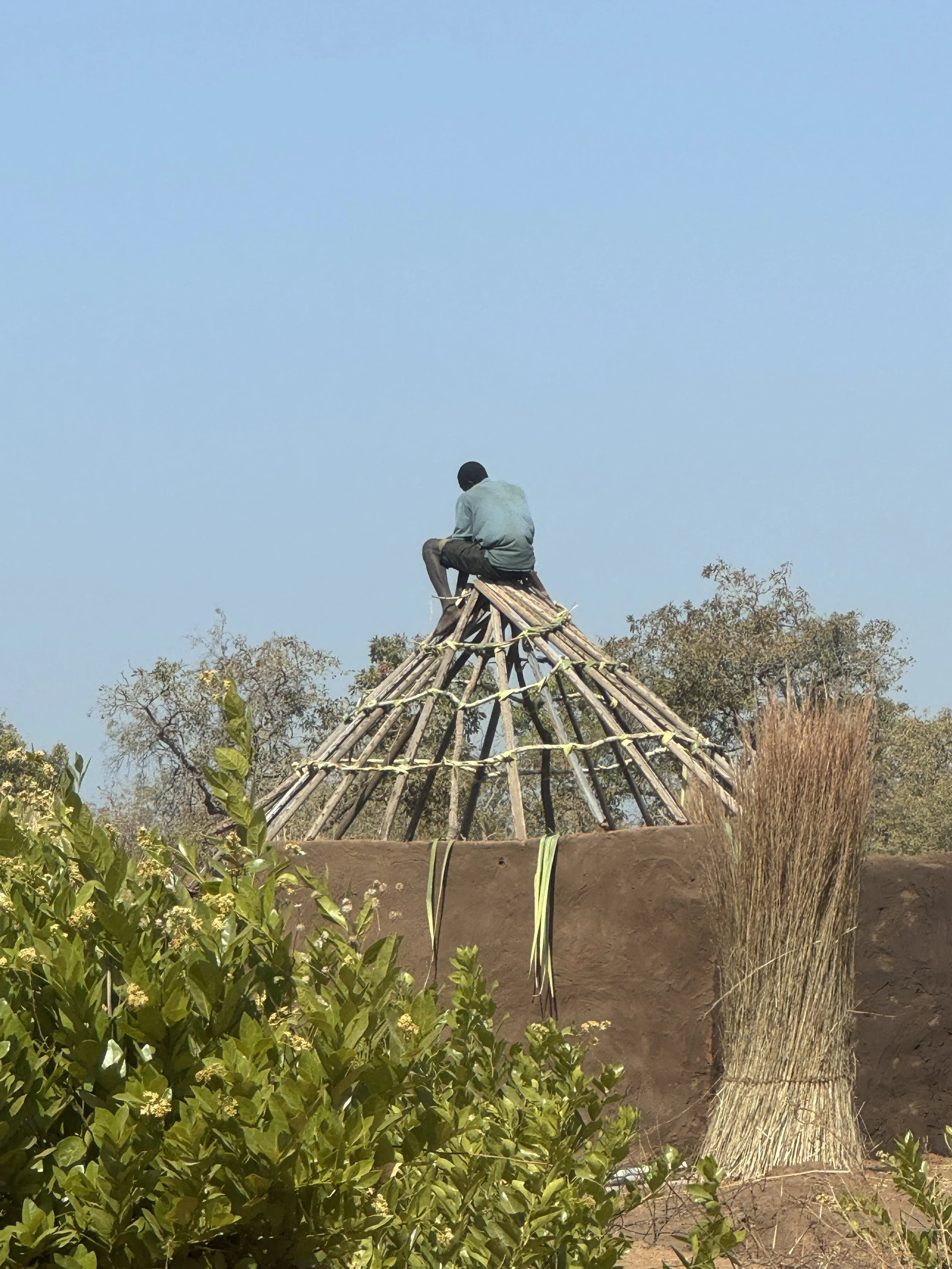 A person sitting on top of a wooden structure, against a clear blue sky; the structure appears to be a traditional thatched roof or shelter.