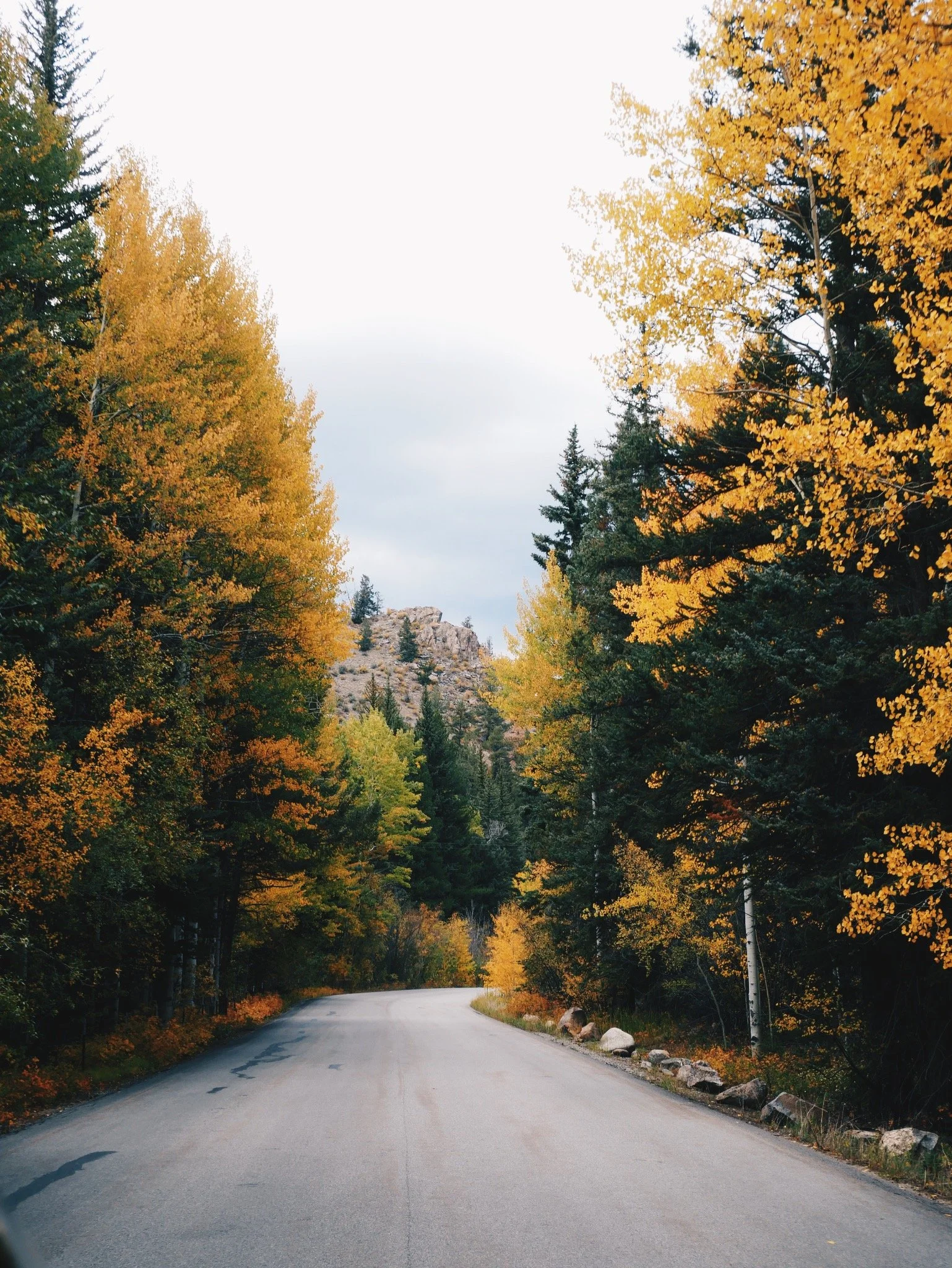 Scared of change, look how beautiful the leaves are during this transition into a new season, Colorado. 