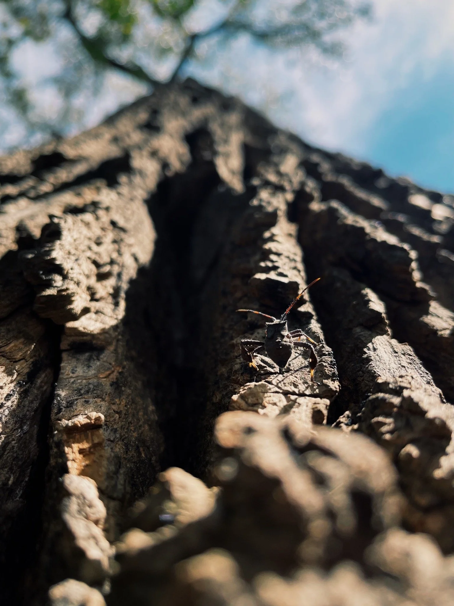 Nature will reveal itself if you look closely