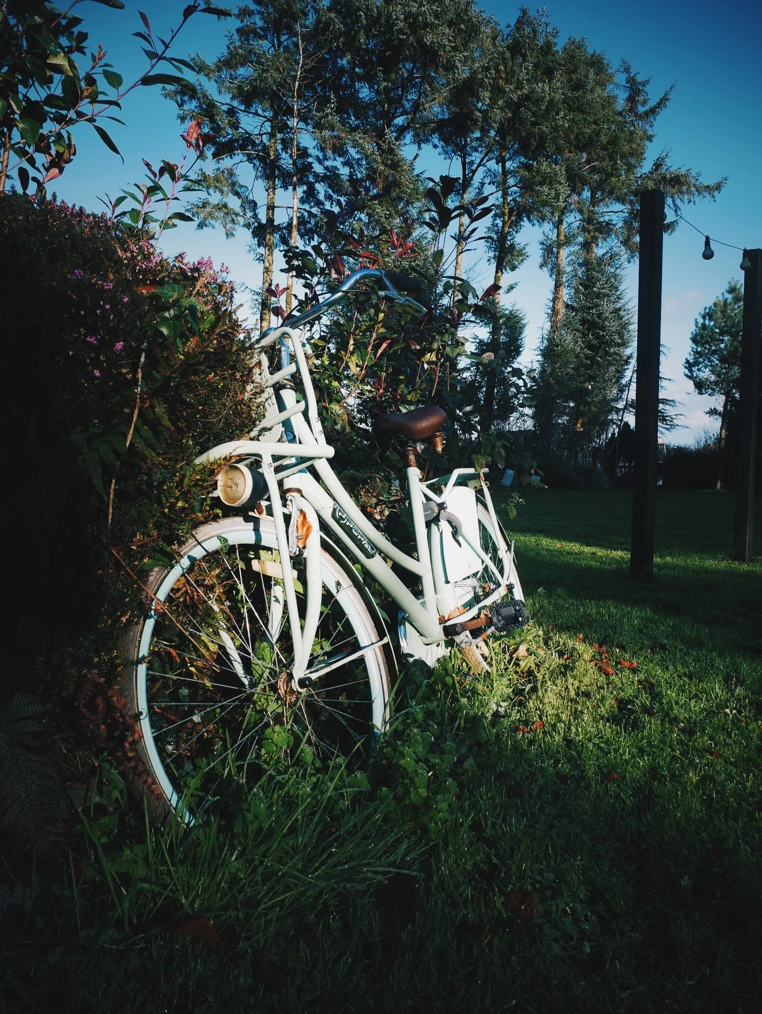 Decor or still a functional bike? Ireland 