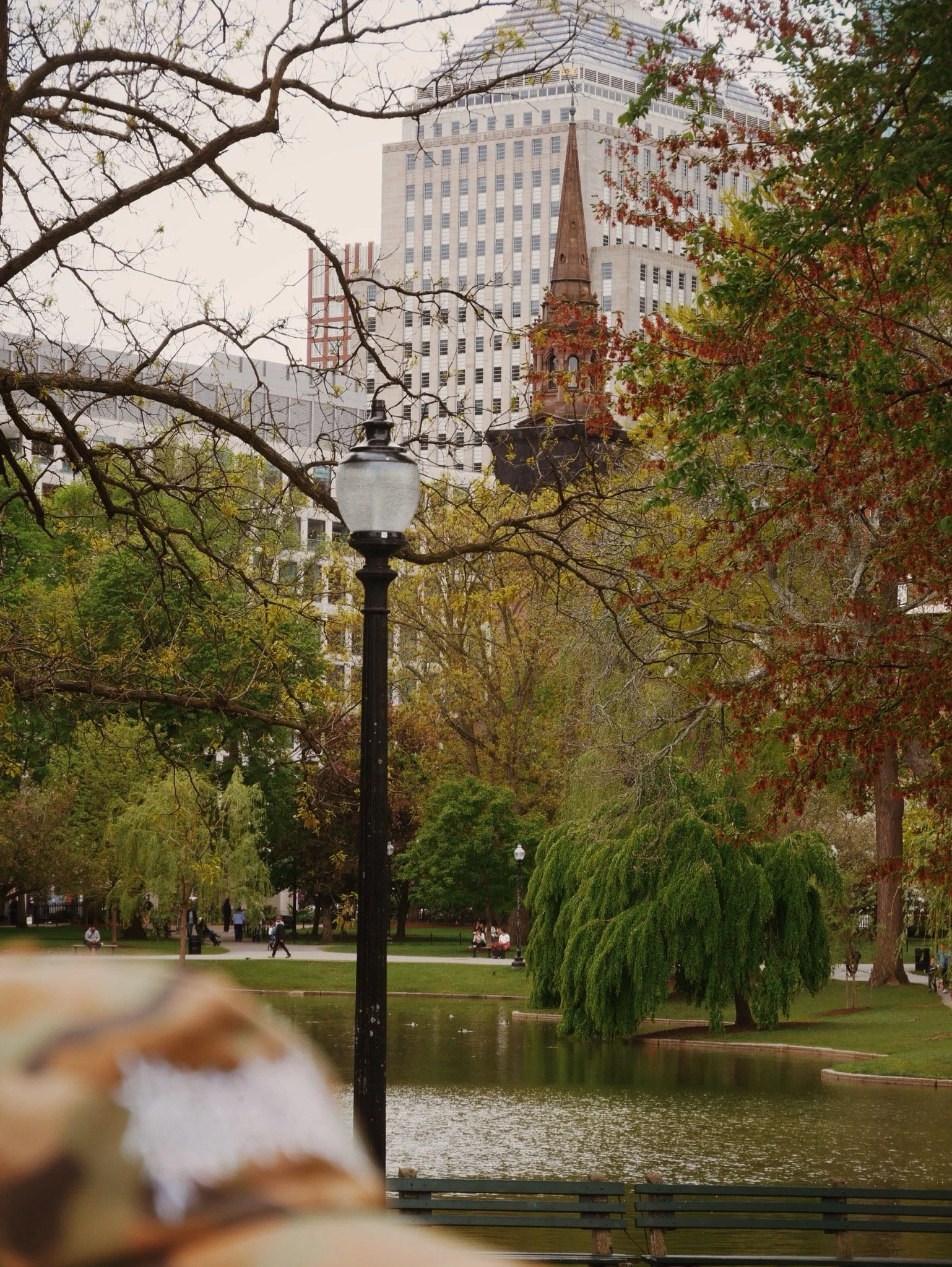 The city of Boston, MA