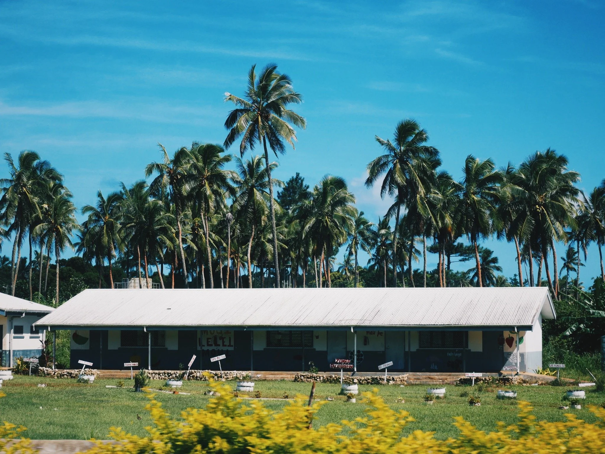 A school in Tonga