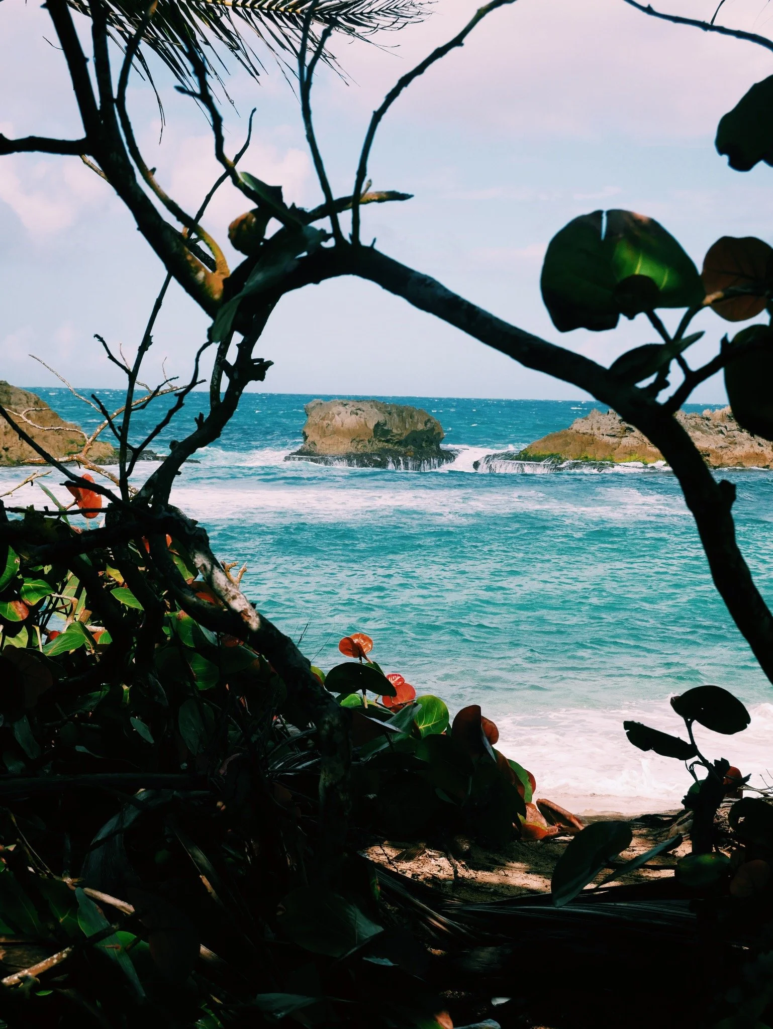Puerto Rico is a gem all around 