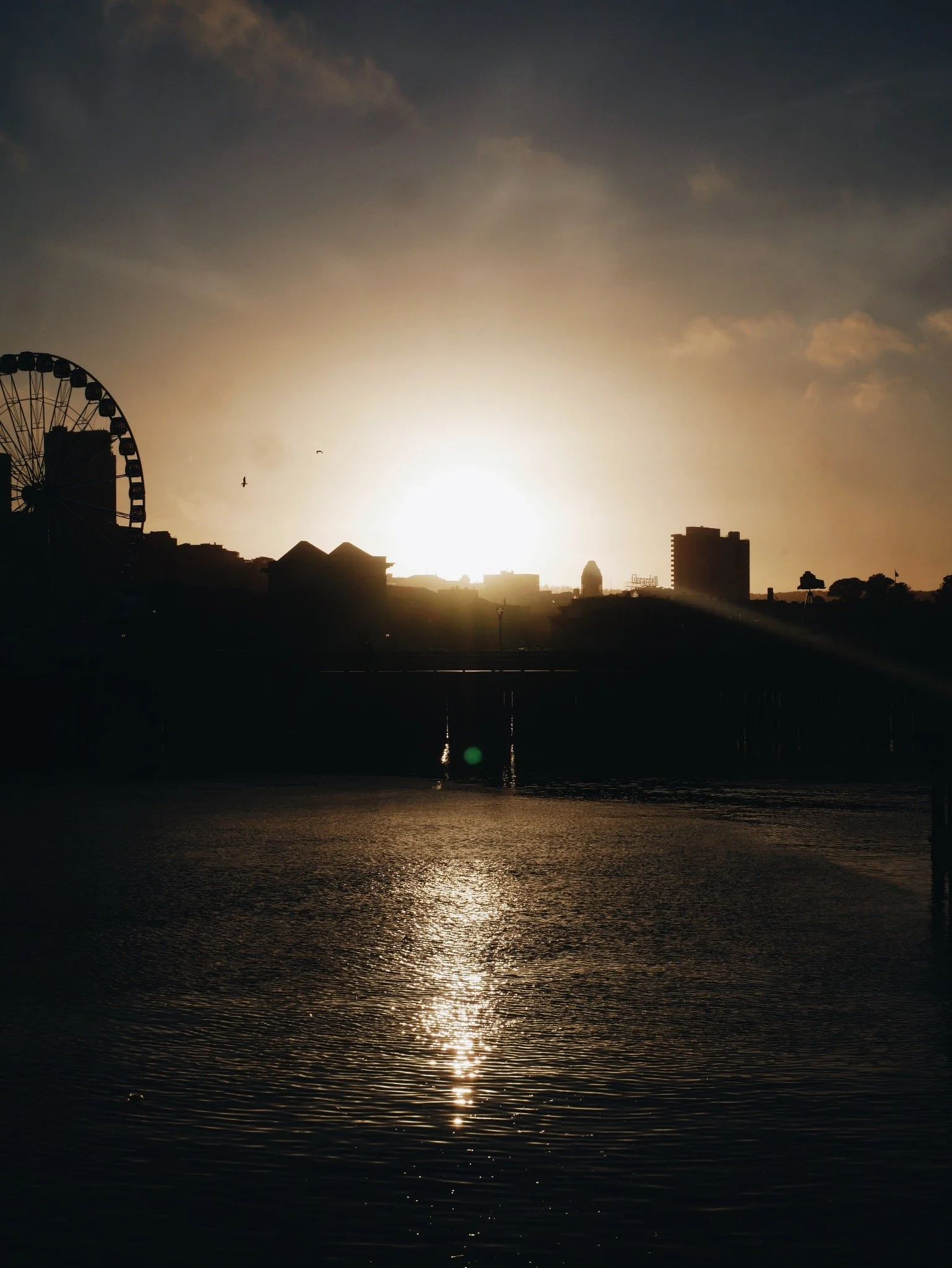 Even when things are uncertain there is beauty, San Francisco, CA 