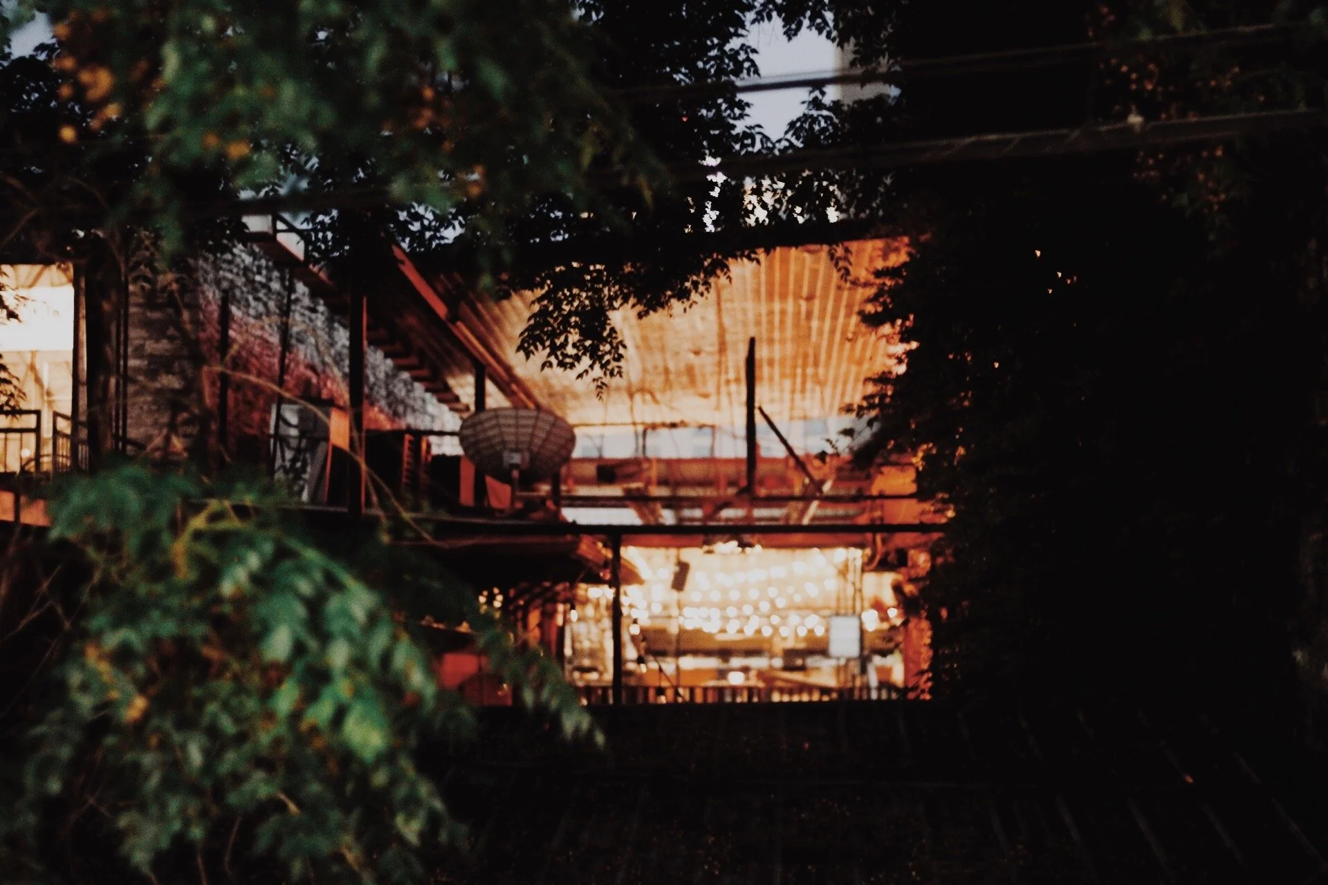 Sometimes a glimpse can last forever. Austin, TX 