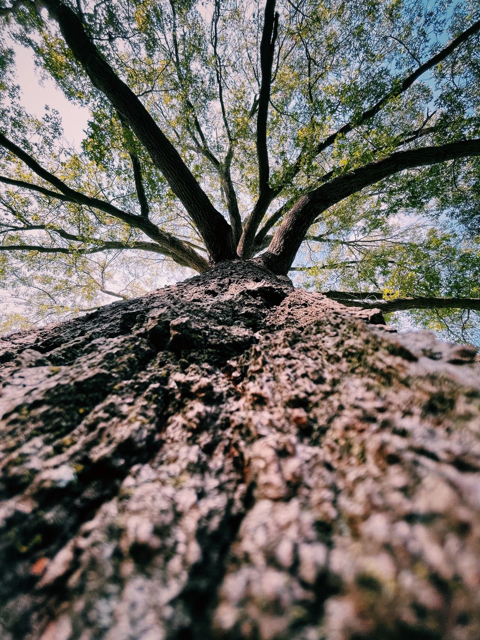 A different perspective can change everything 