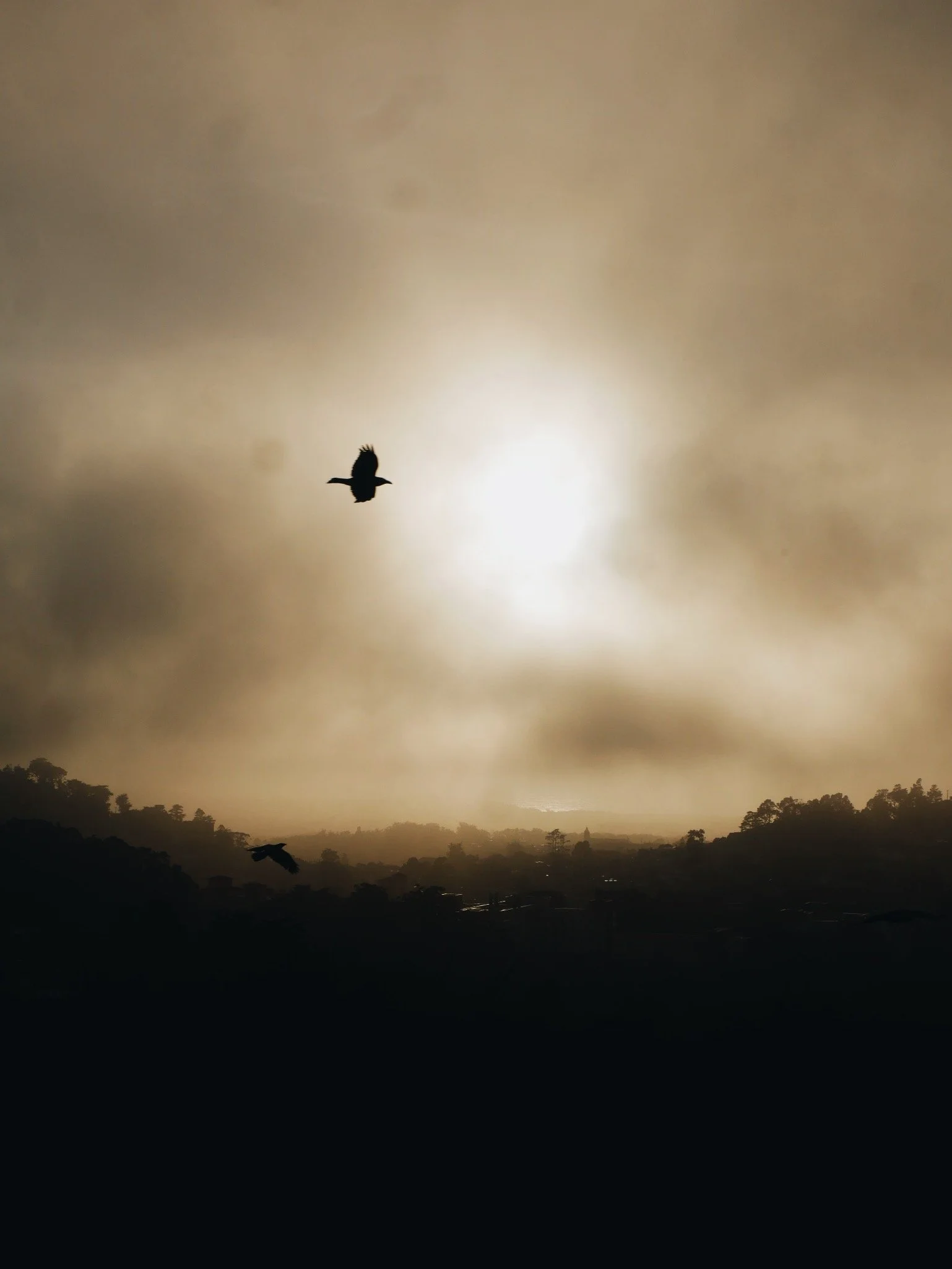 If you could fly over a city what city would it be?San Francisco, CA 