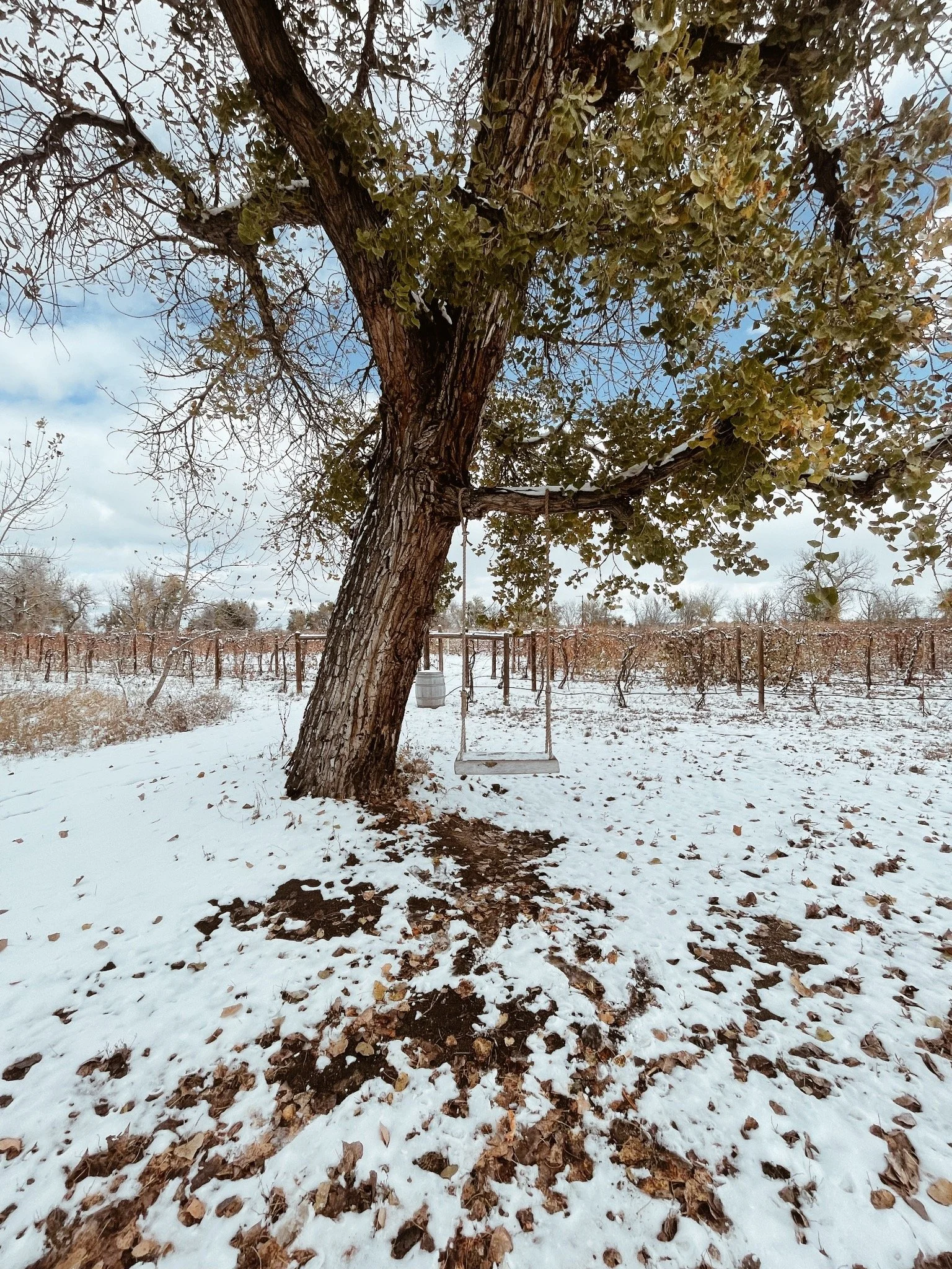 Would you take a swing, Kansas 