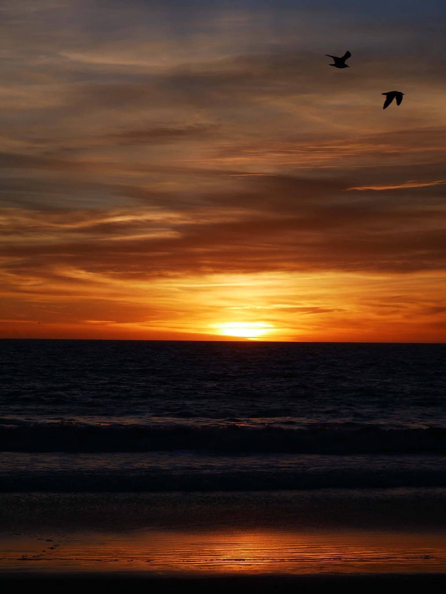 This is what warmth feels like illustrated into a picture, Southern California