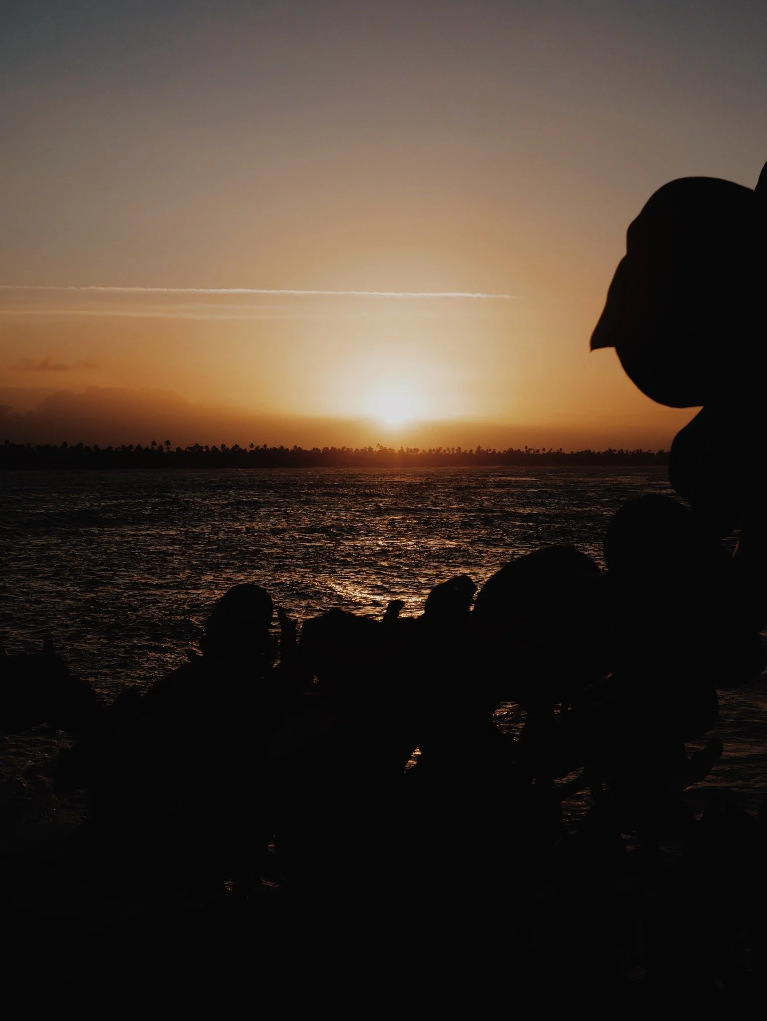 The sun may set here but will rise in another place, truly your light never dies. Puerto Rico