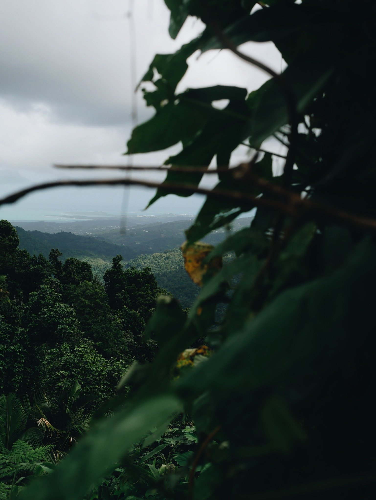 The mountains of the island of love