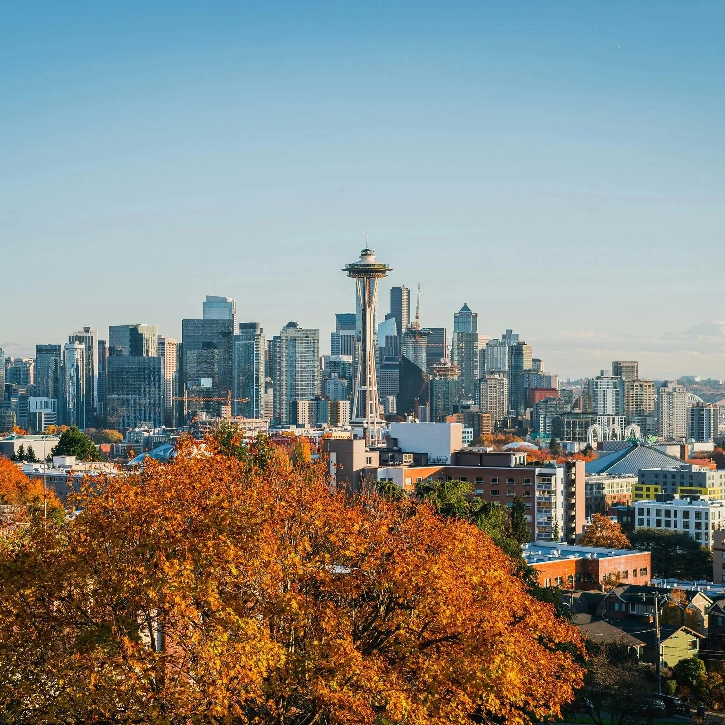 City skyline of Seattle with the Space Needle tower, skyscrapers, and autumn trees in the foreground under a clear blue sky.