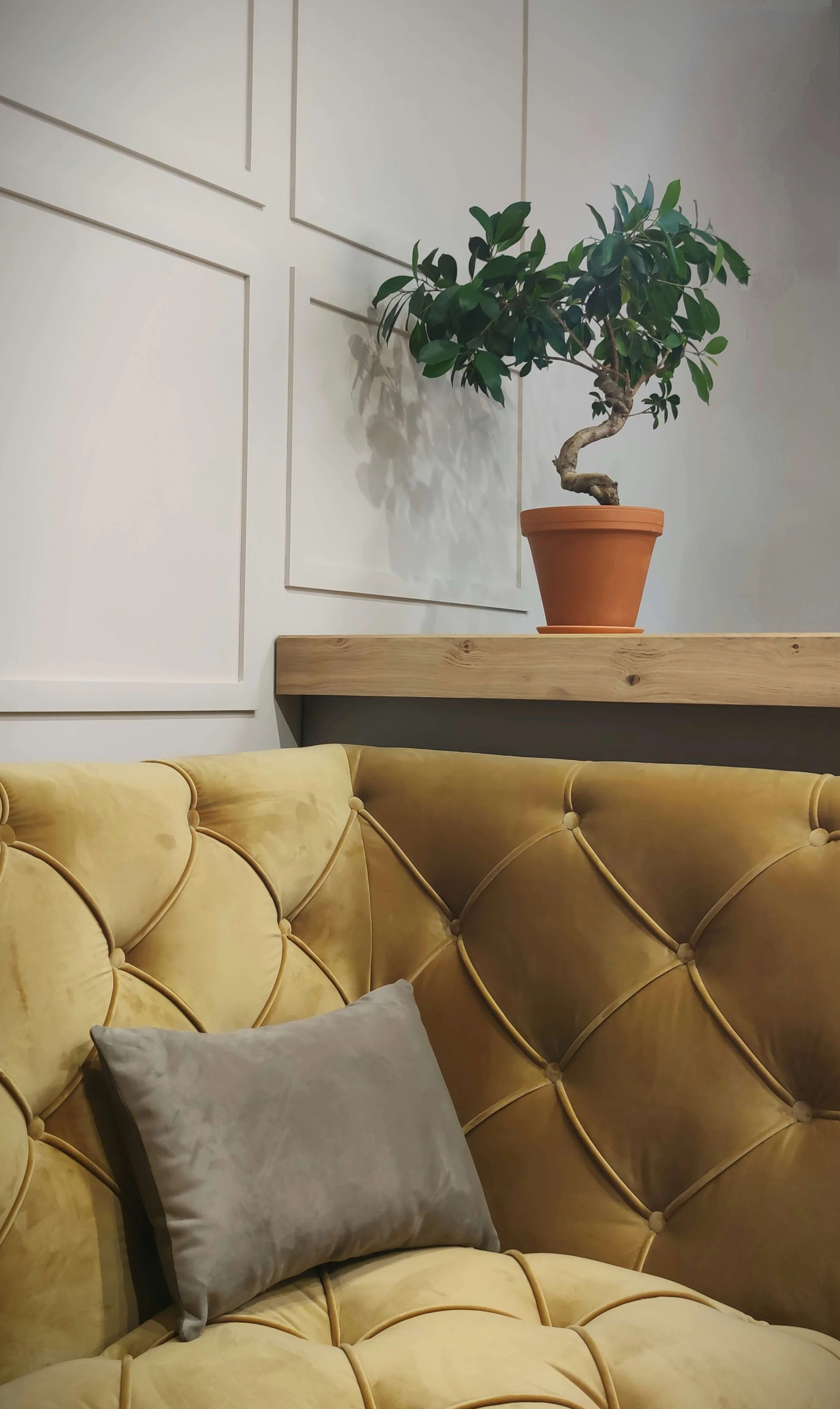 Un canapé en velours jaune avec un coussin gris clair, une plante verte en pot en terre cuite sur une étagère en bois, et un mur blanc avec un design géométrique simple.