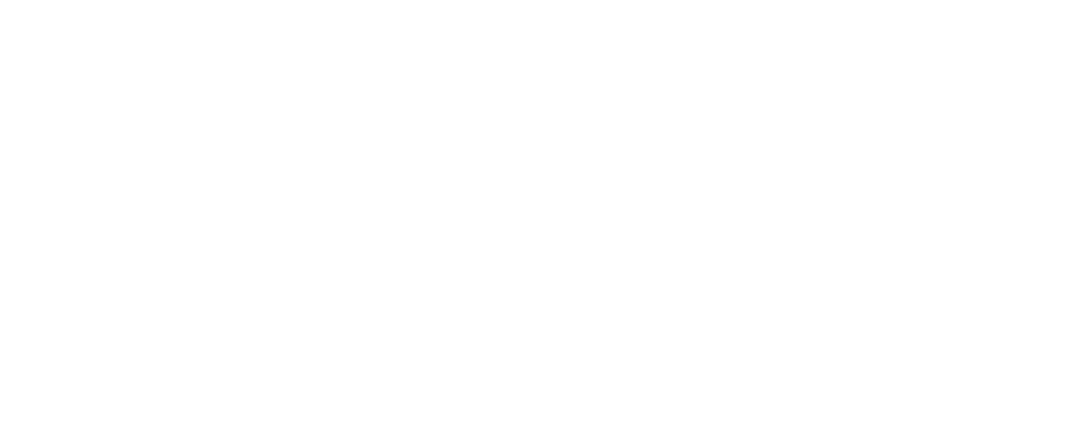 The number 25 to indicate the years of experience Blueleaf Inc has in the industry.