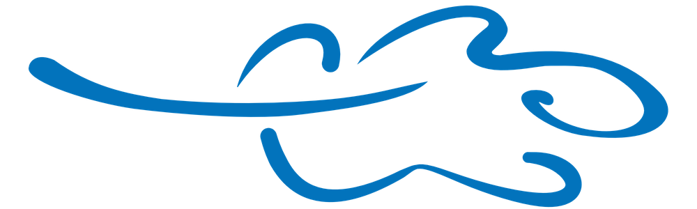 Blueleaf Incorporated