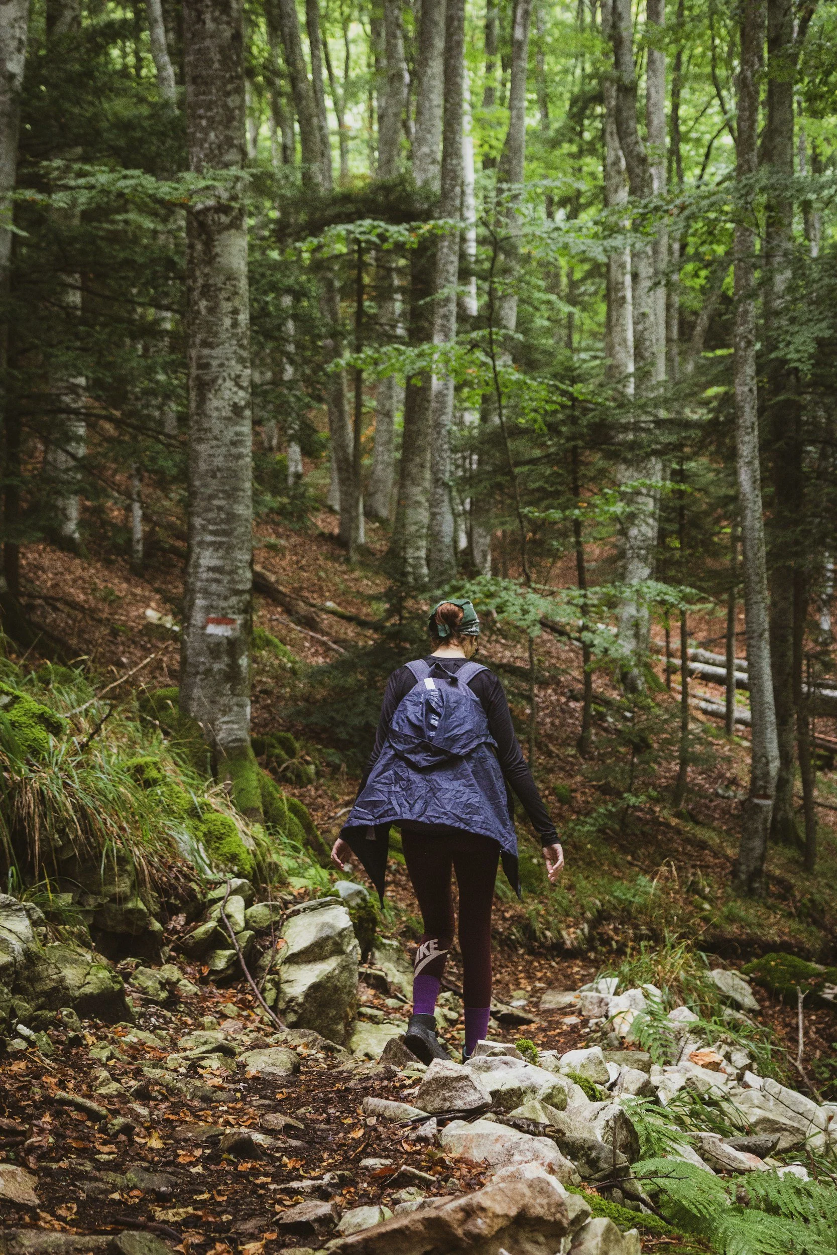 A person with a backpack hiking on a rocky forest trail surrounded by tall trees and green foliage.