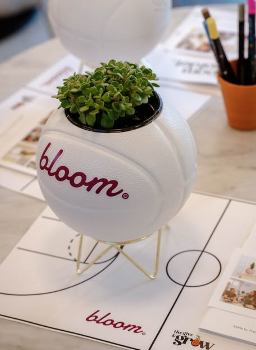 A basketball with the word 'bloom' in purple cursive, repurposed as a planter holding a small green succulent plant, placed on a tabletop with brochures and pens in the background.