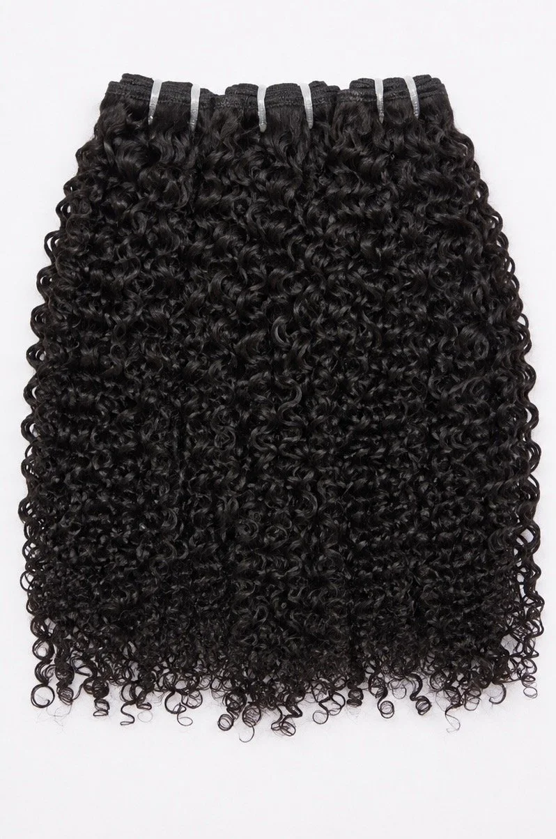 Raw Burmese Curly