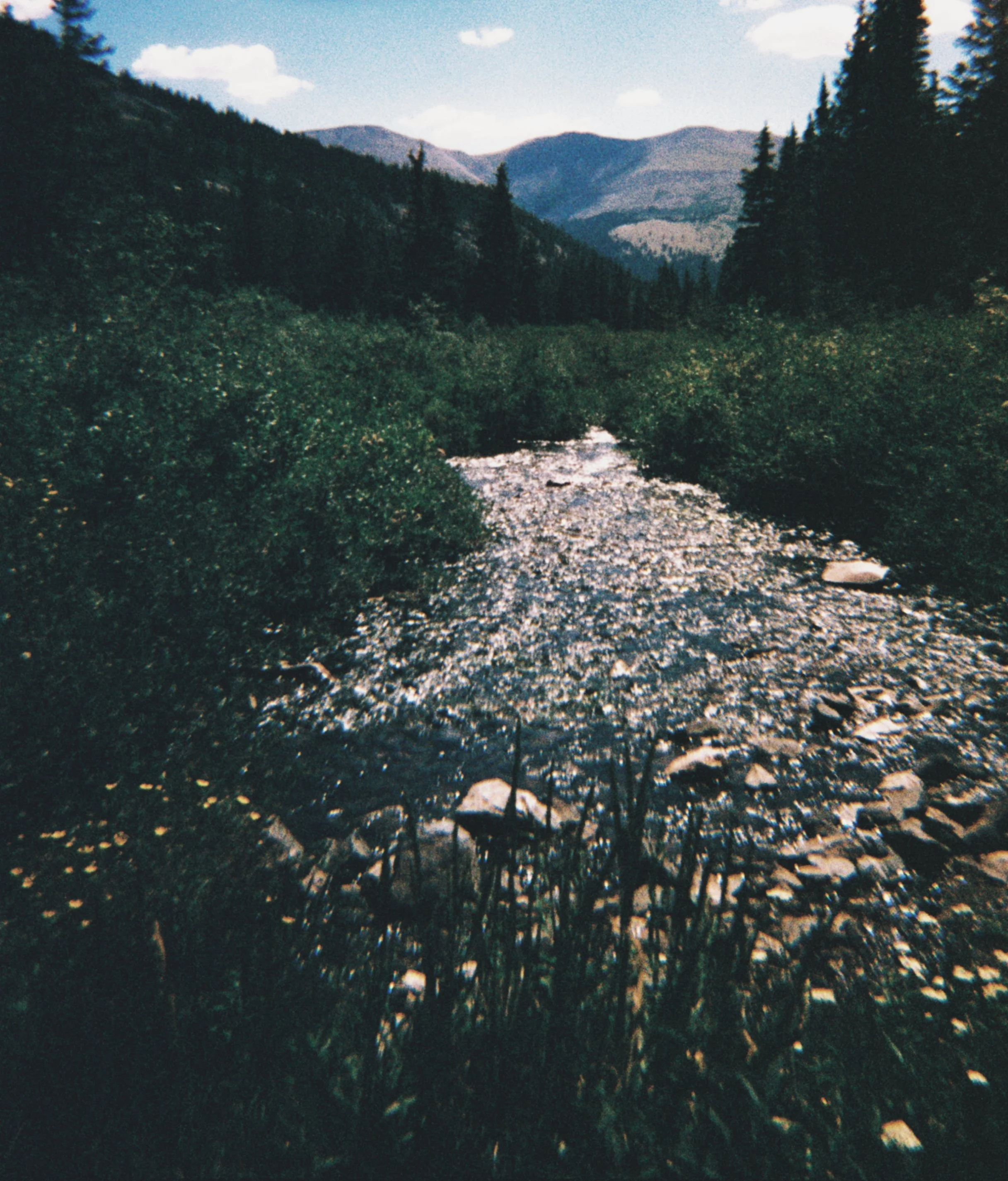 A view of mountains in the distance with a blue sky and fluffy clouds, a mountain stream flowing over rocks in the foreground, surrounded by lush green trees and bushes.