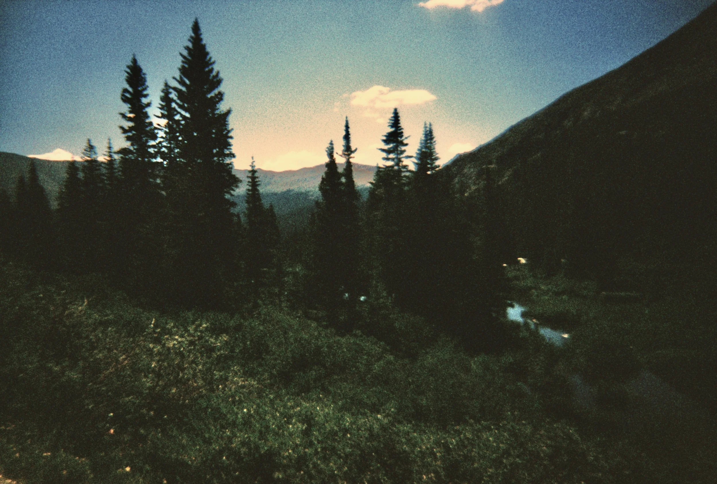 Nighttime view of a mountain landscape with pine trees and a small body of water reflecting the dark sky and surrounding trees.