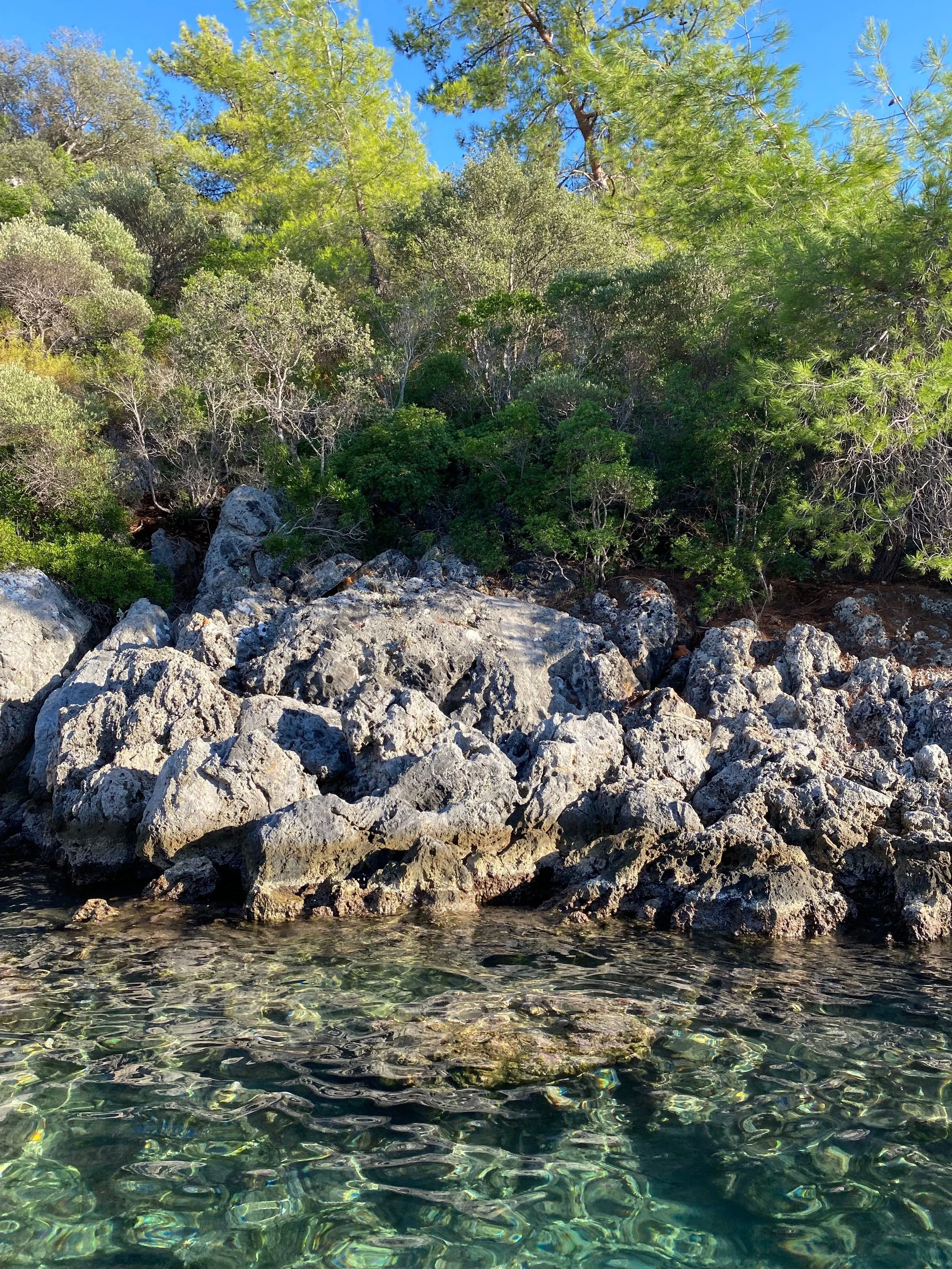 A rocky shoreline by clear water, with dense green trees and a bright blue sky in the background.