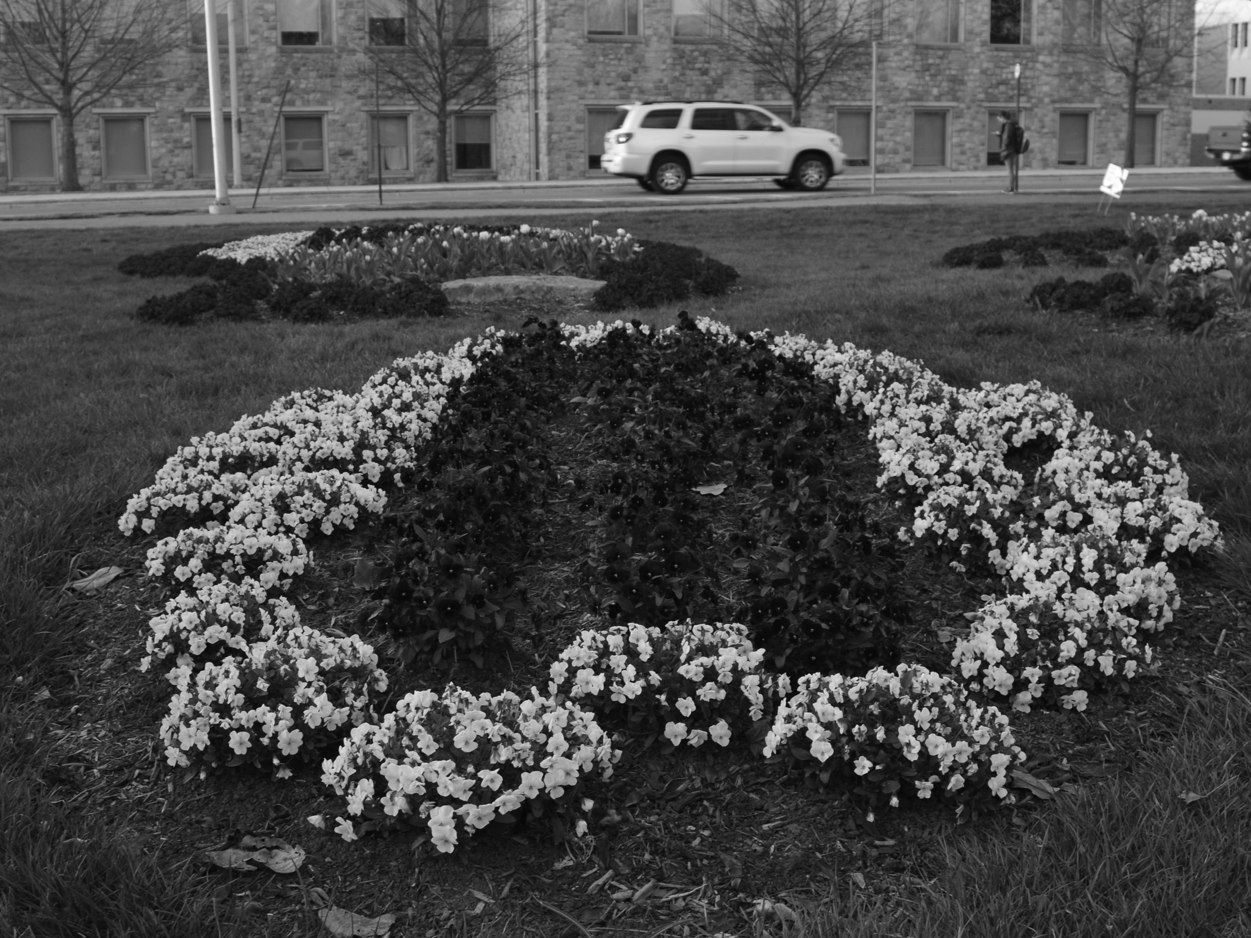 _DSC0110.jpg