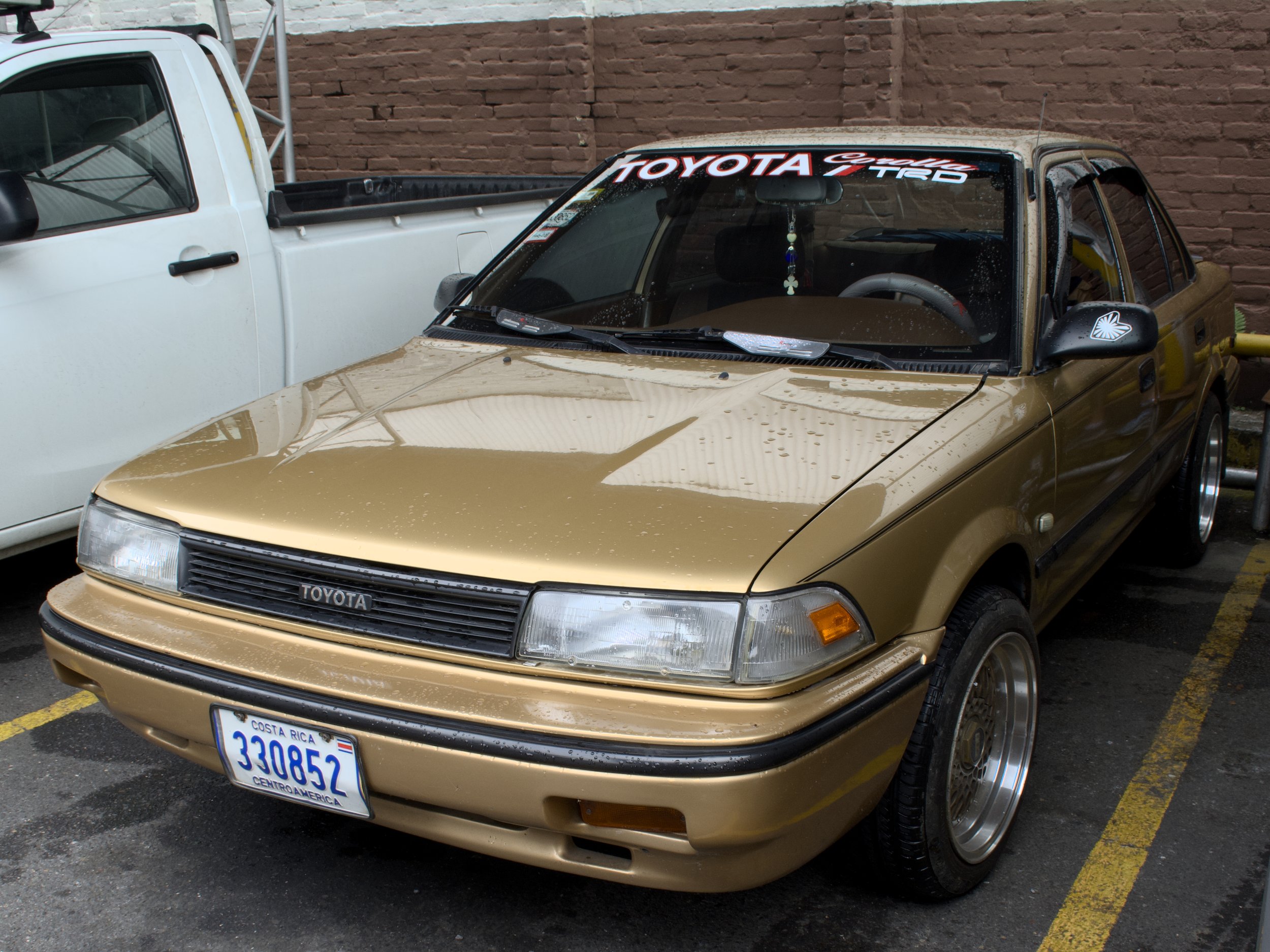 _DSC0004.jpg