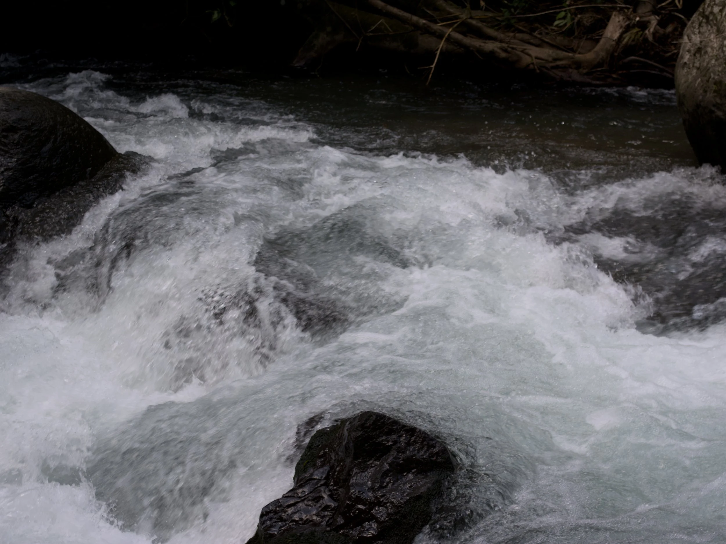 _DSC0319.jpg