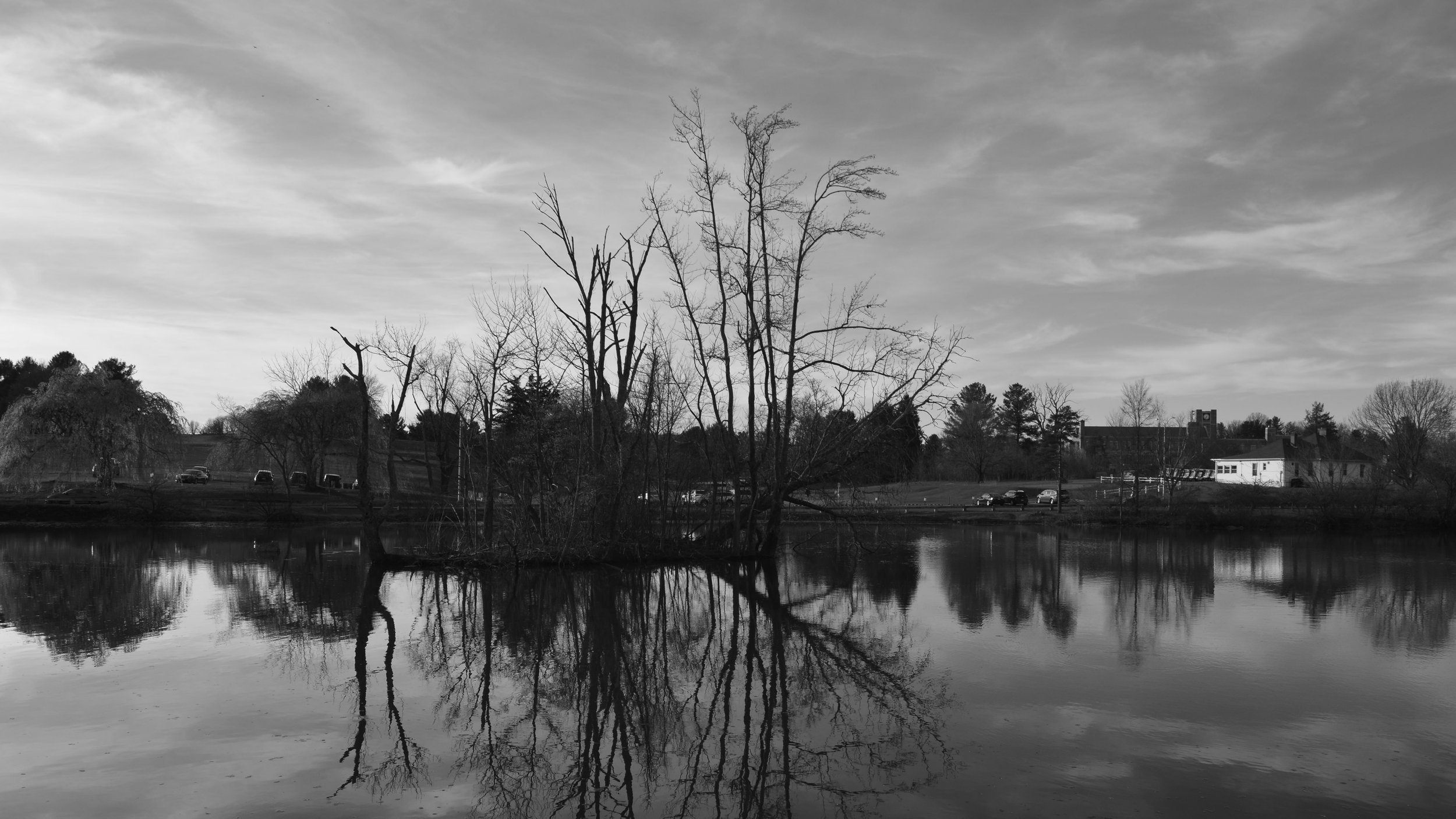 _DSC0033.jpg