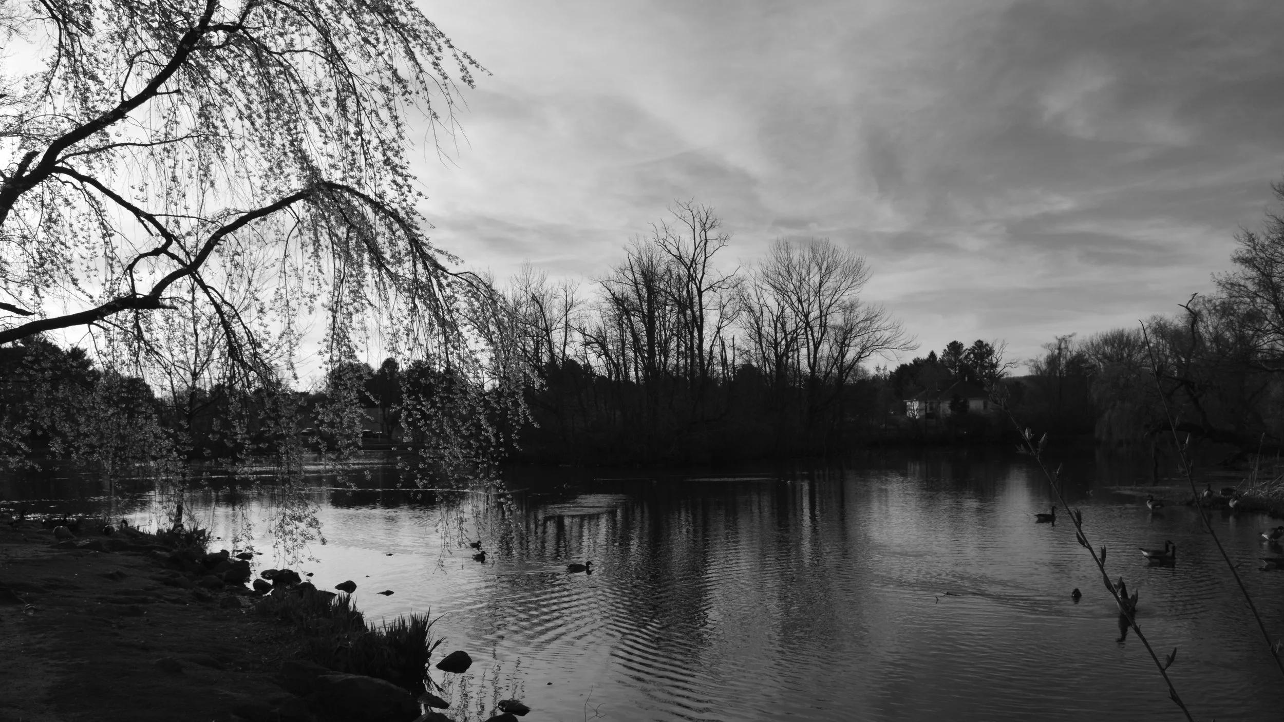 _DSC0003.jpg