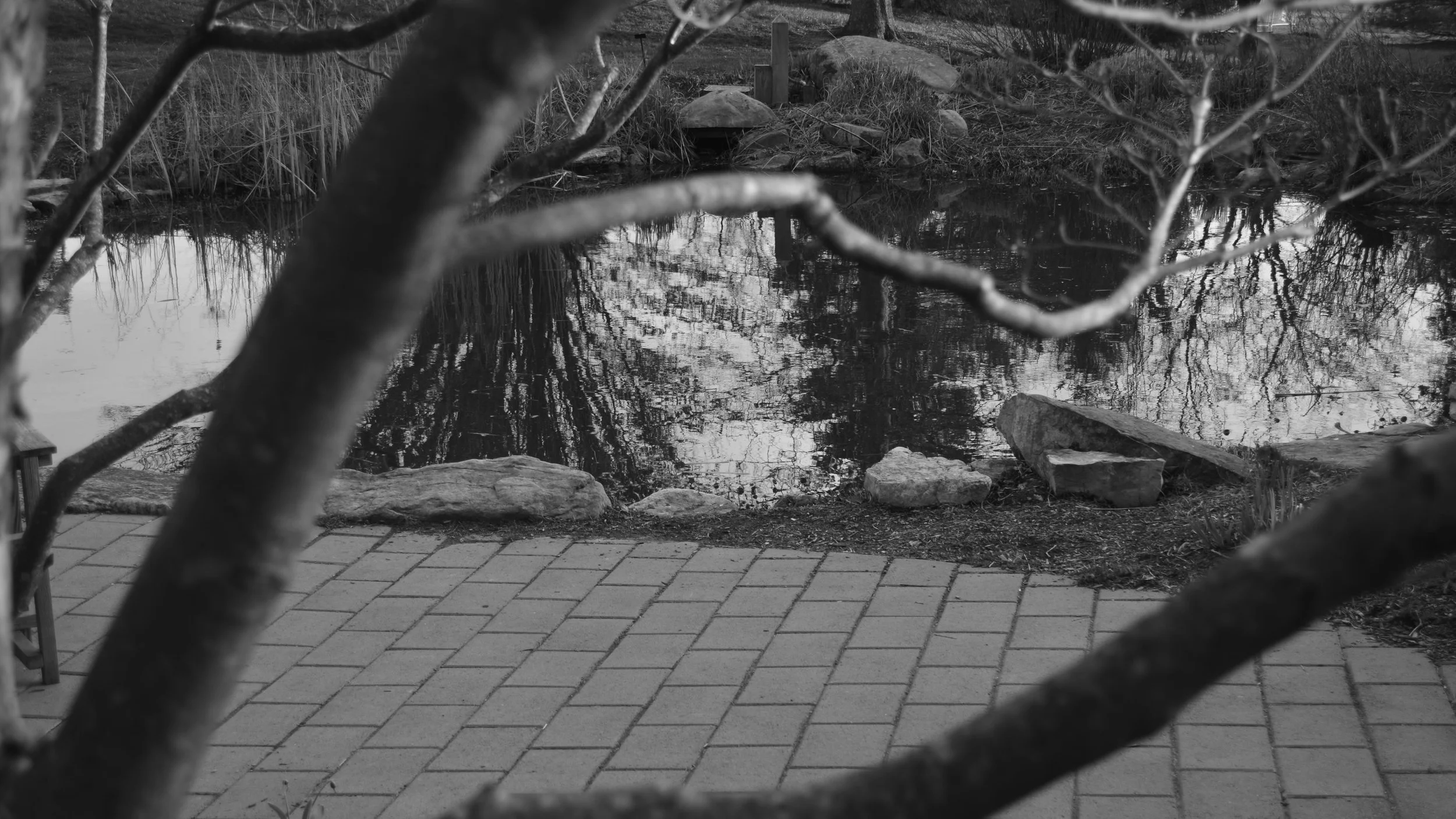 _DSC0104.jpg