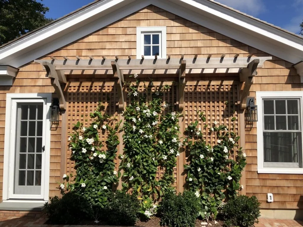 Exterior 3.jpeg