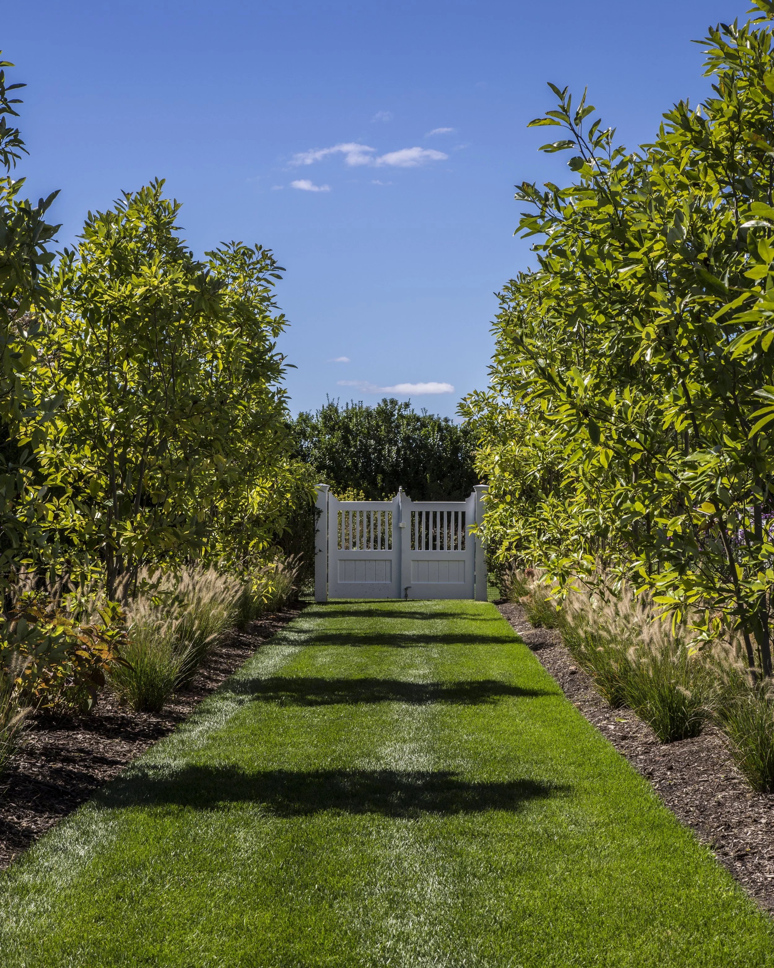 Hedges 8.jpg