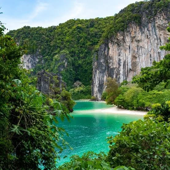 Galactic Genius Retreat in Thailand
