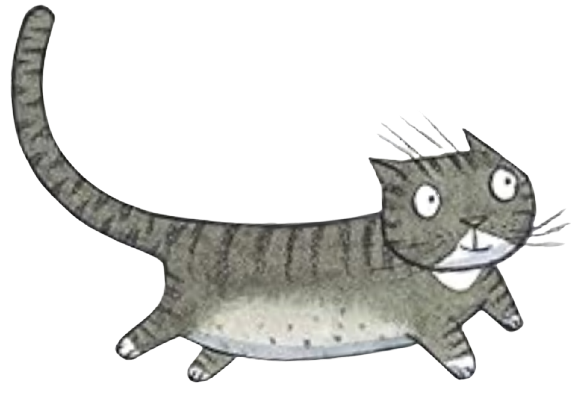 Coco the Cat from the Noni the Pony book series.