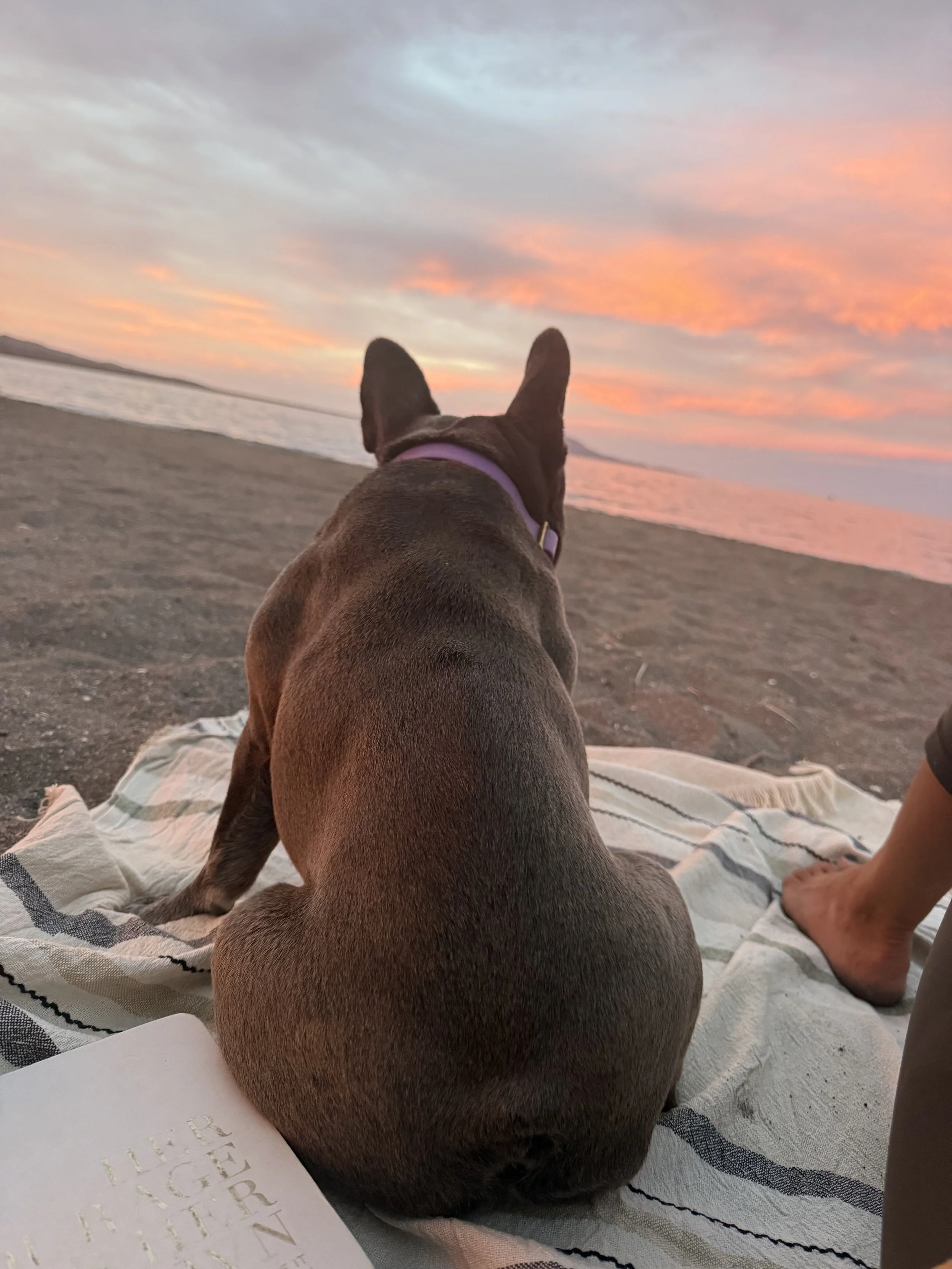 Solo Travel in Mexico - When being alone got dark